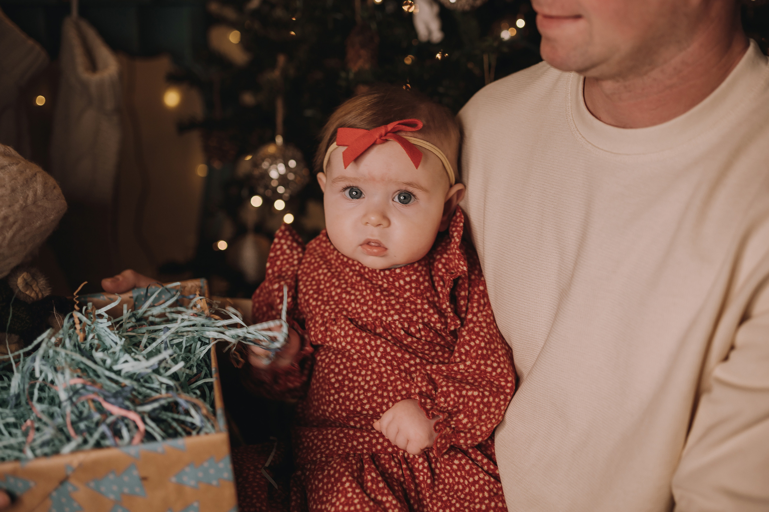 12.03.2022 Christmas Photoshoot 13. Wedding family event photographer in Chicago Nick Yushevich