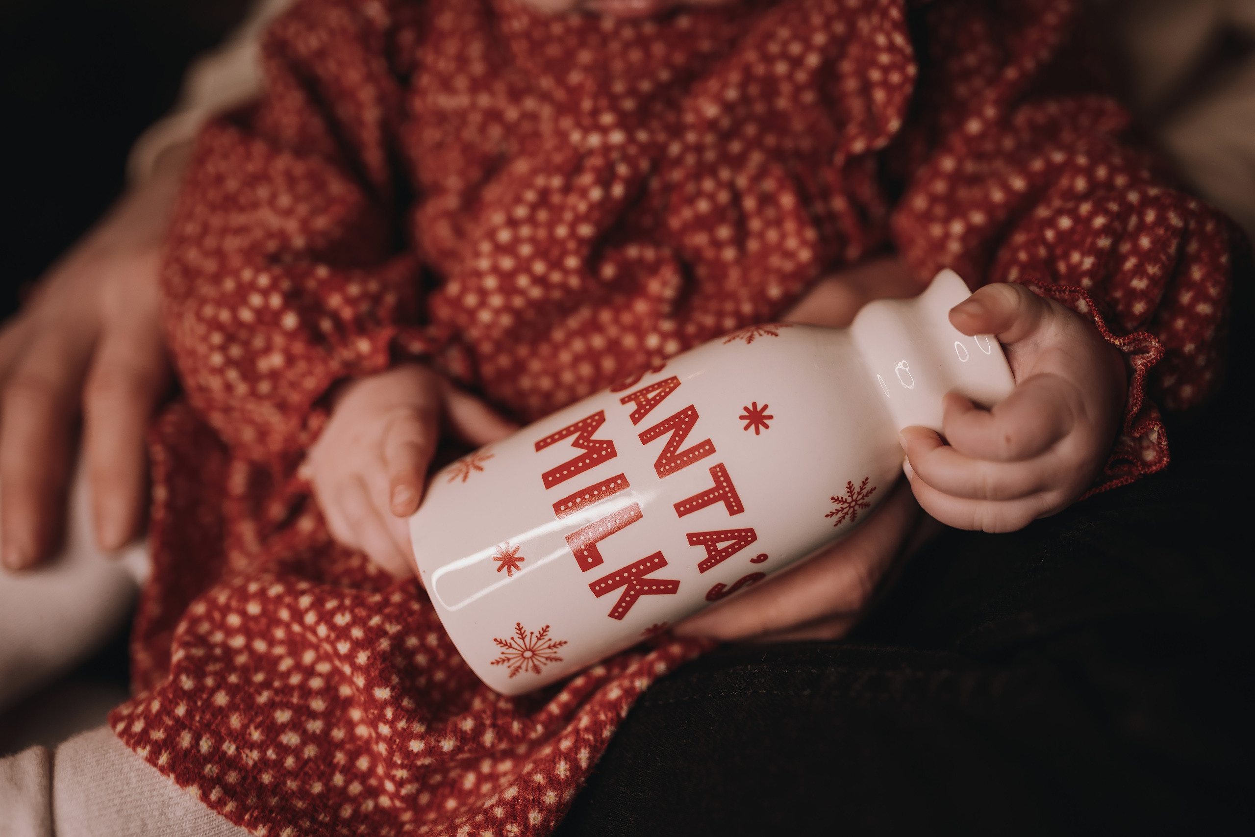 12.03.2022 Christmas Photoshoot 13. Wedding family event photographer in Chicago Nick Yushevich