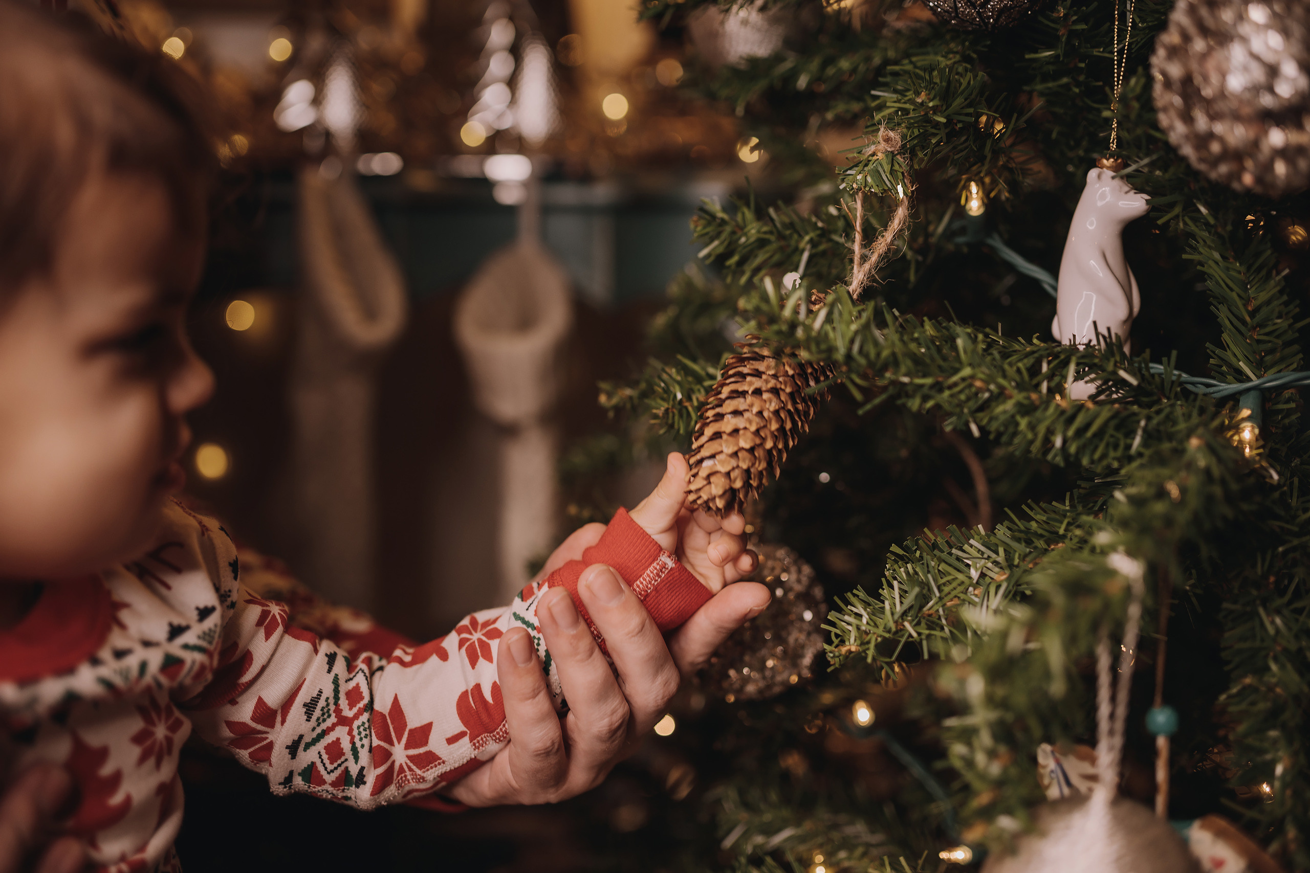 29.01.2023 Christmas Photoshoot 25. Wedding family event photographer in Chicago Nick Yushevich