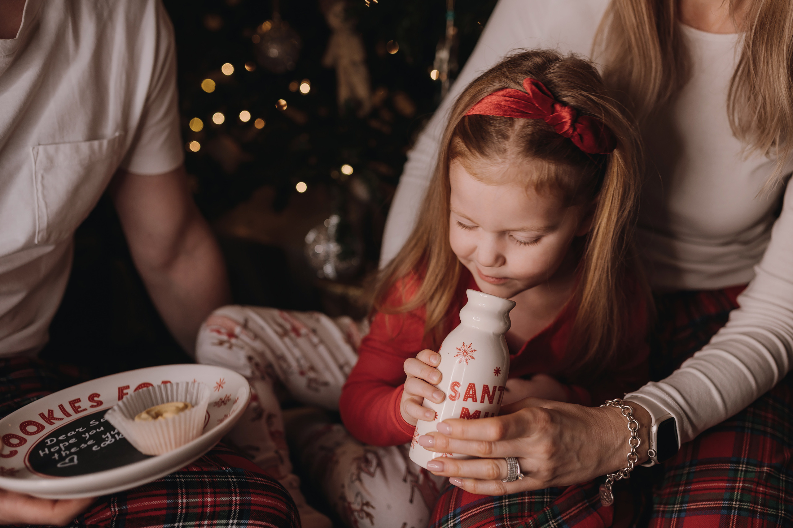 13.12.2022 Christmas Photoshoot 20. Wedding family event photographer in Chicago Nick Yushevich