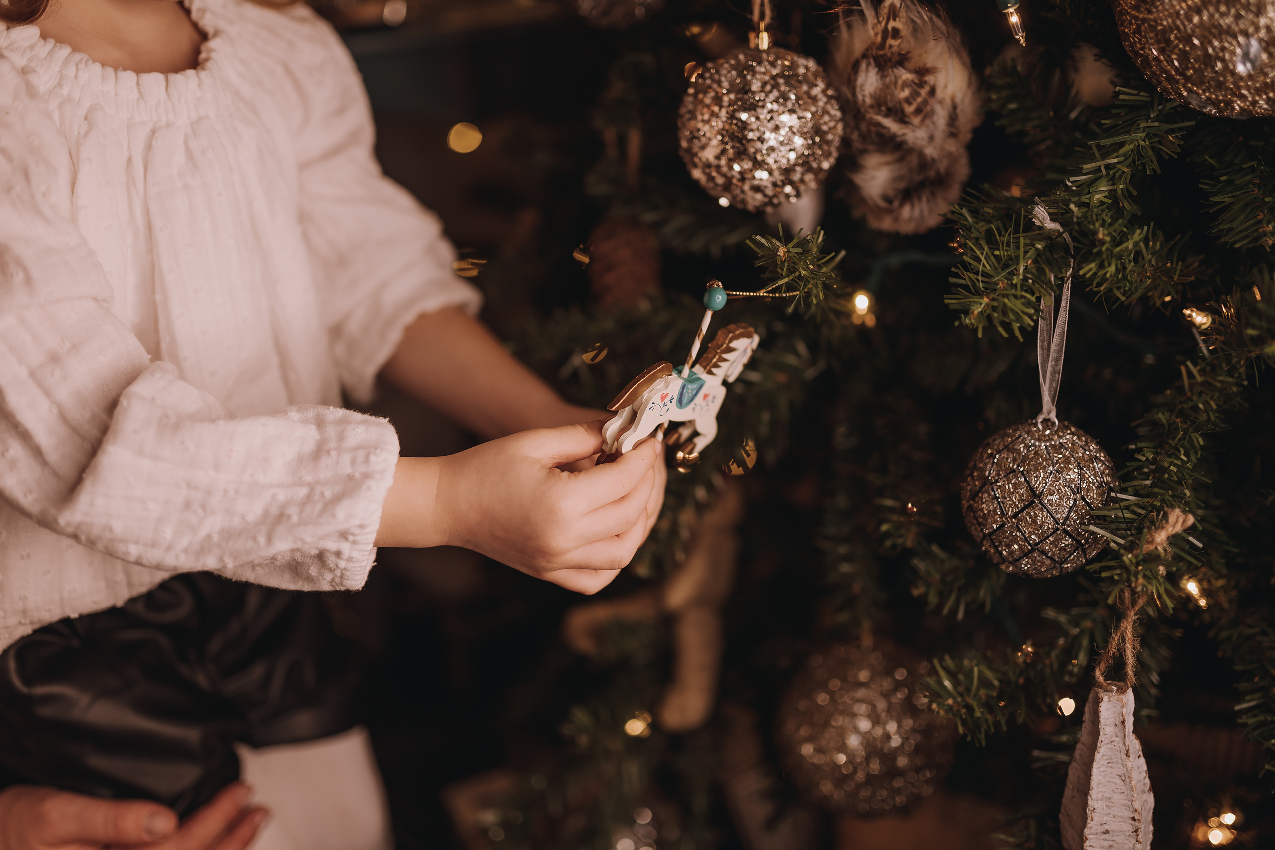 12.03.2022 Christmas Photoshoot 11. Wedding family event photographer in Chicago Nick Yushevich