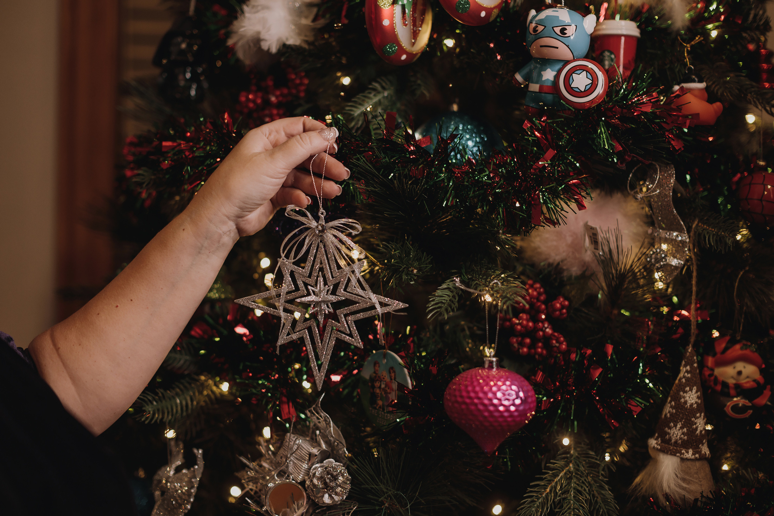 12.09.2022 Christmas Photoshoot 15. Wedding family event photographer in Chicago Nick Yushevich