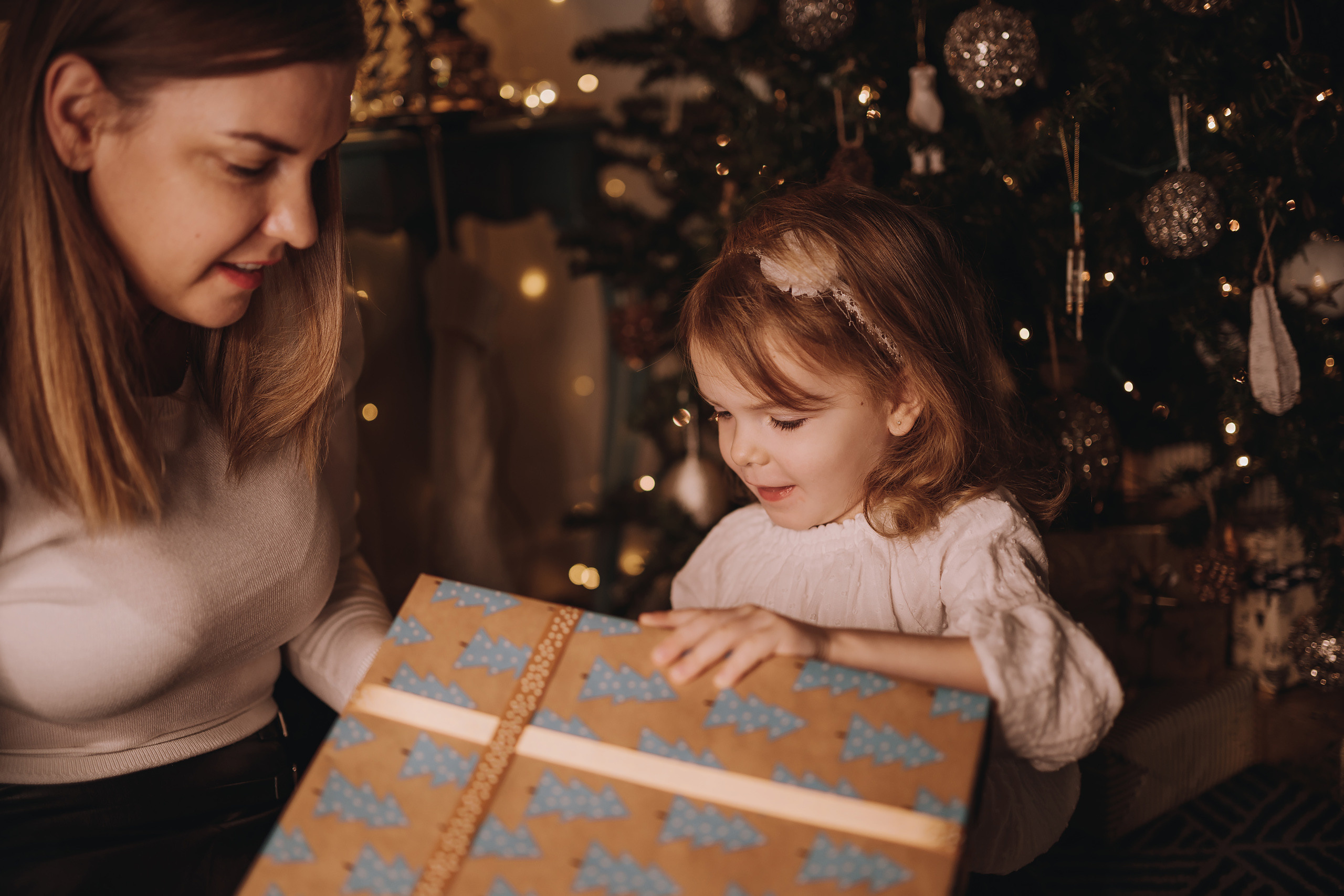 12.03.2022 Christmas Photoshoot 11. Wedding family event photographer in Chicago Nick Yushevich