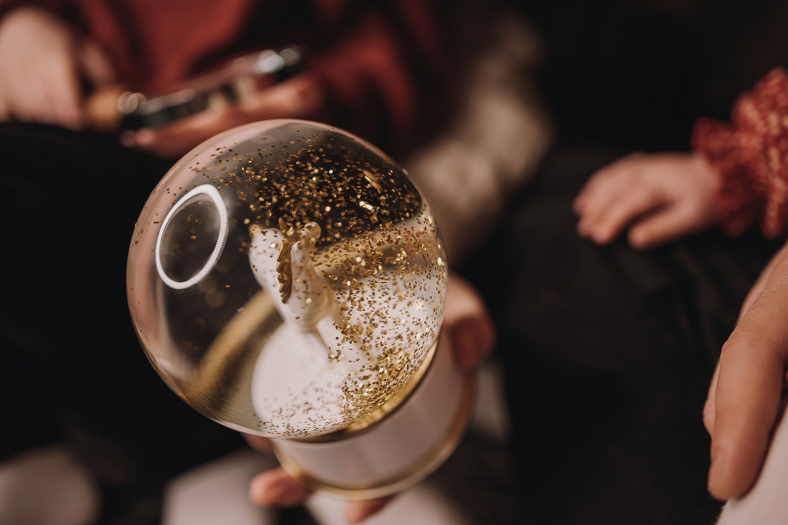 12.03.2022 Christmas Photoshoot 13. Wedding family event photographer in Chicago Nick Yushevich