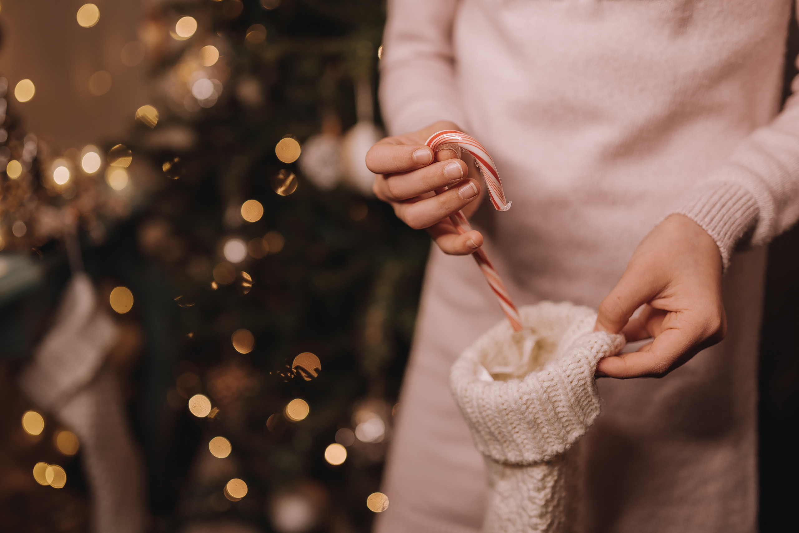 12.10.2022 Christmas Photoshoot 17. Wedding family event photographer in Chicago Nick Yushevich