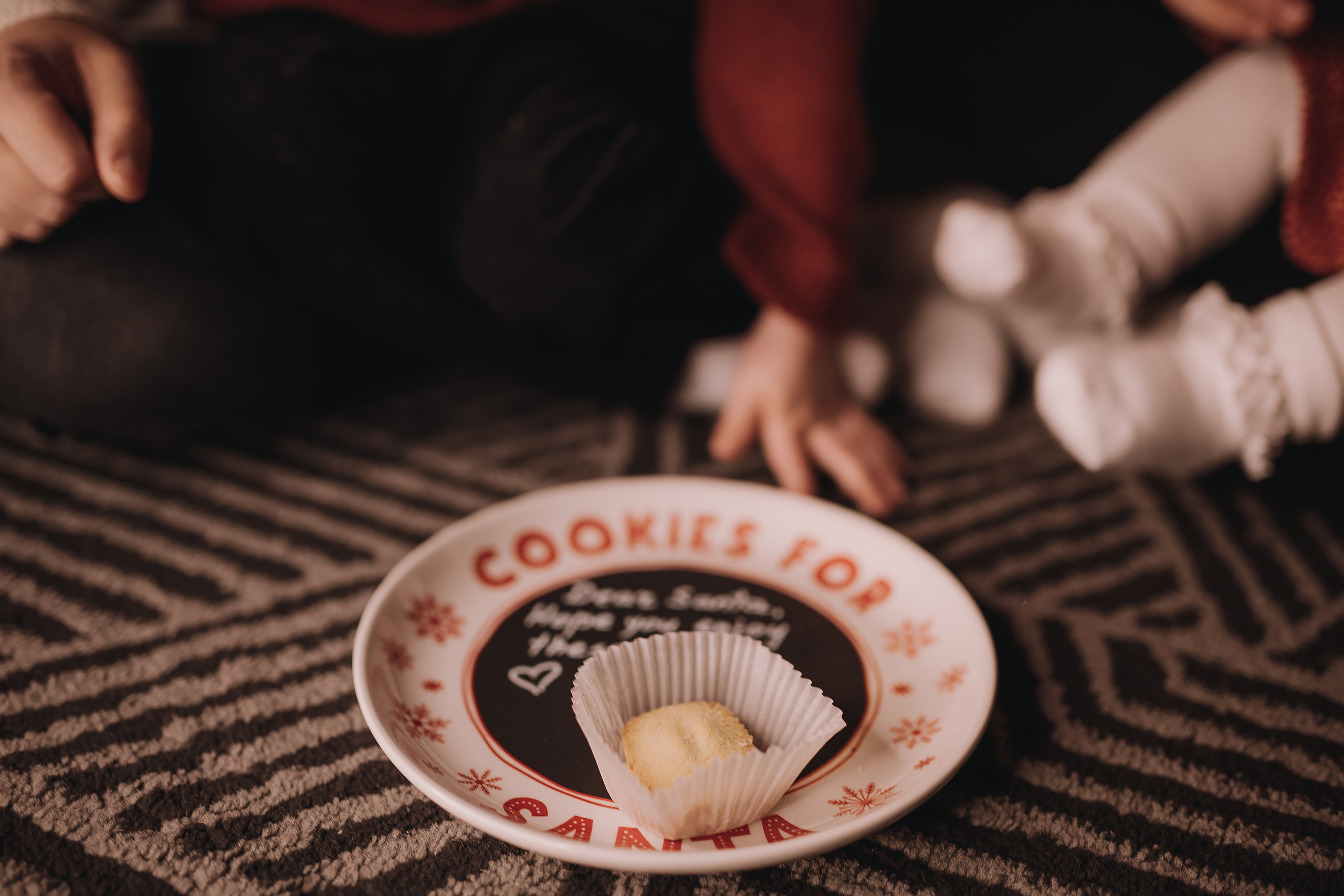 12.03.2022 Christmas Photoshoot 13. Wedding family event photographer in Chicago Nick Yushevich