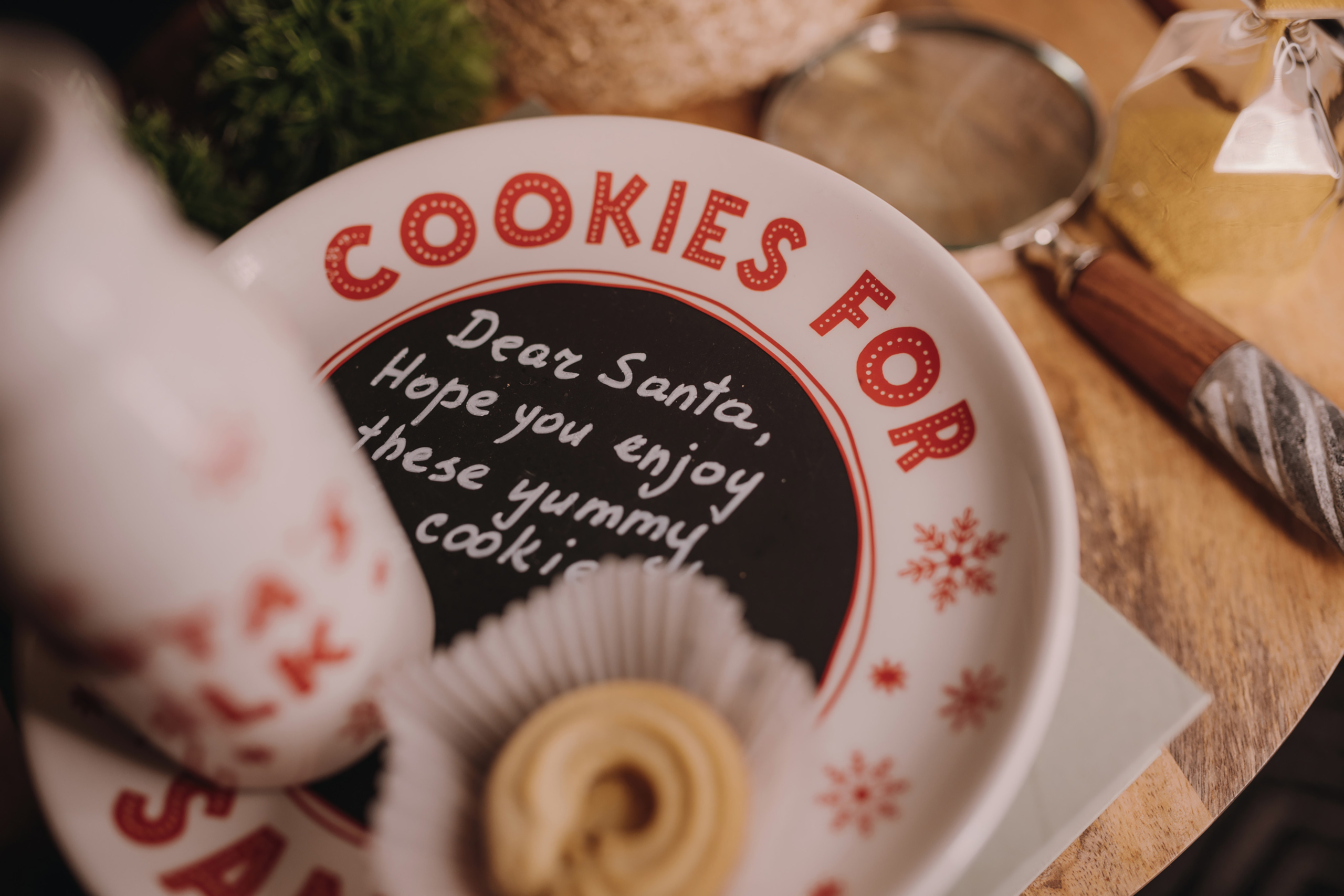 13.12.2022 Christmas Photoshoot 20. Wedding family event photographer in Chicago Nick Yushevich