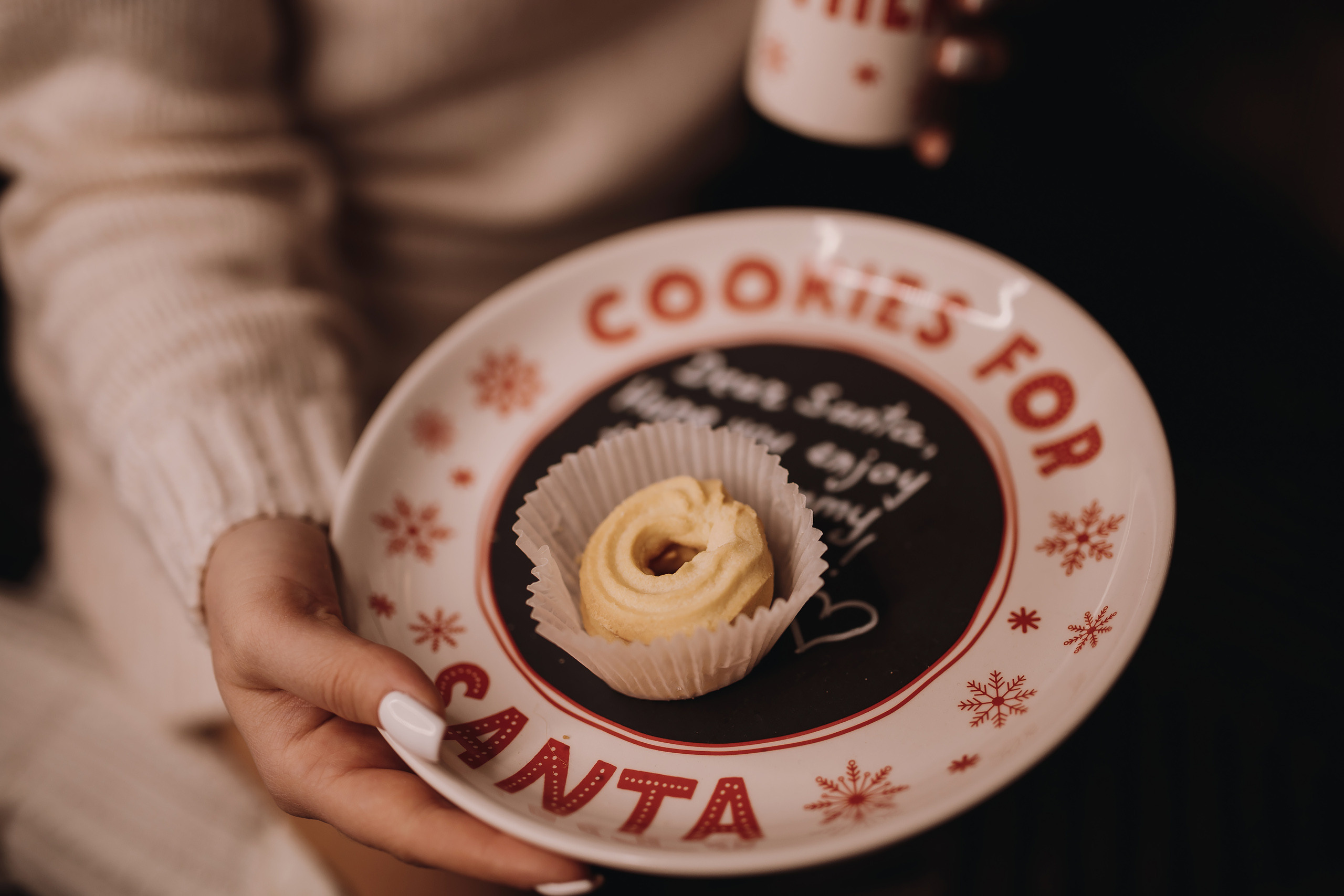 18.12.2022 Christmas Photoshoot 22. Wedding family event photographer in Chicago Nick Yushevich