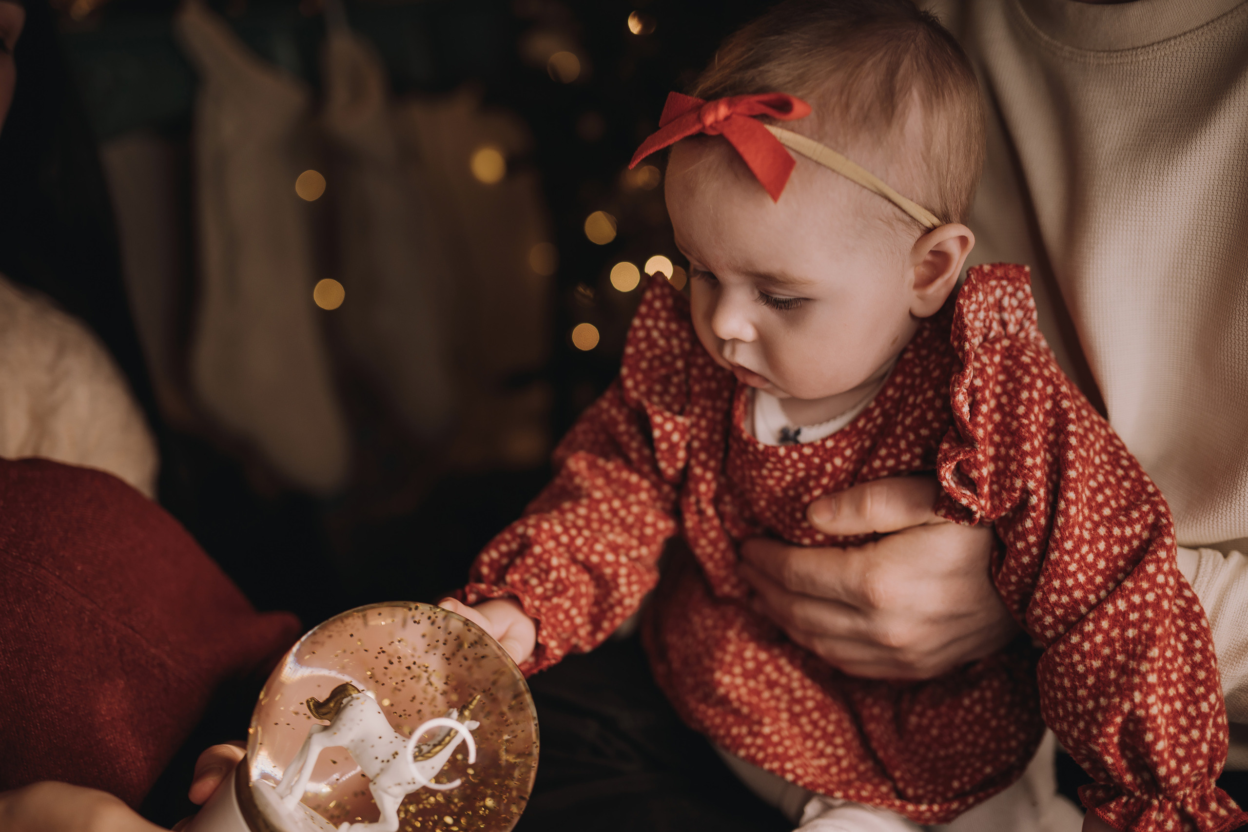 12.03.2022 Christmas Photoshoot 13. Wedding family event photographer in Chicago Nick Yushevich