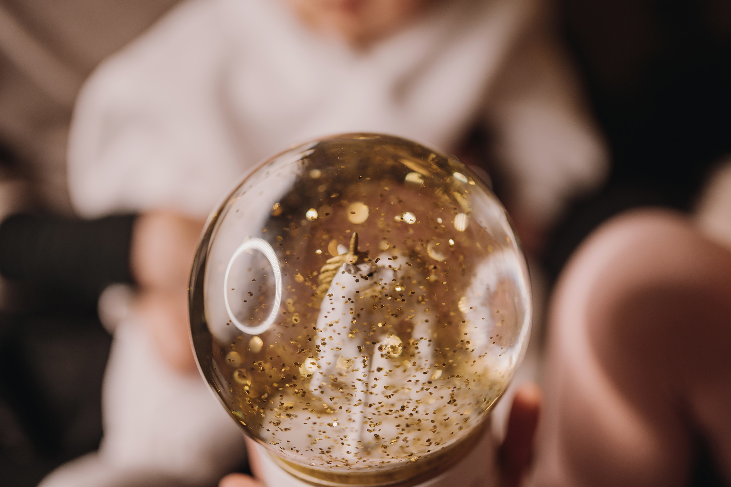 17.12.2022 Christmas Photoshoot 21. Wedding family event photographer in Chicago Nick Yushevich