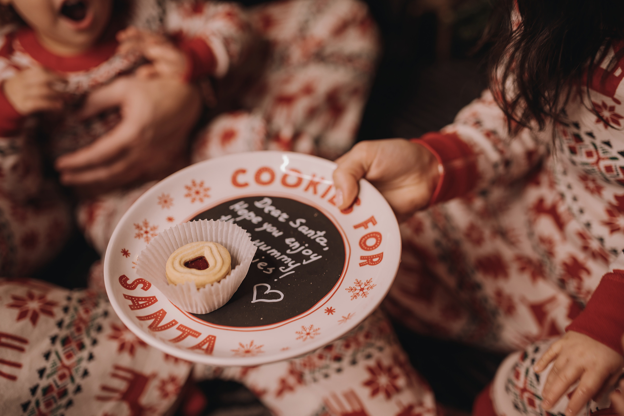 29.01.2023 Christmas Photoshoot 25. Wedding family event photographer in Chicago Nick Yushevich