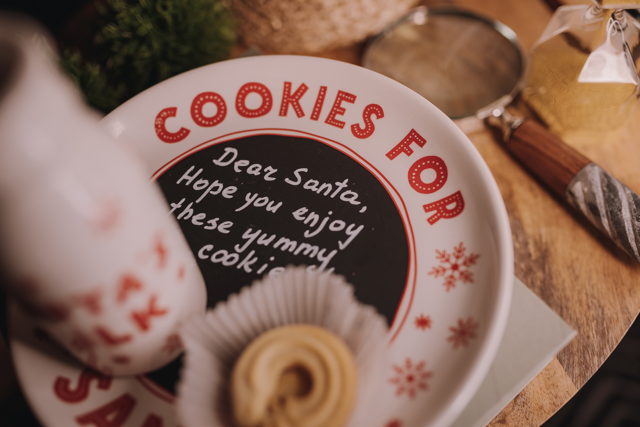 17.12.2022 Christmas Photoshoot 21. Wedding family event photographer in Chicago Nick Yushevich