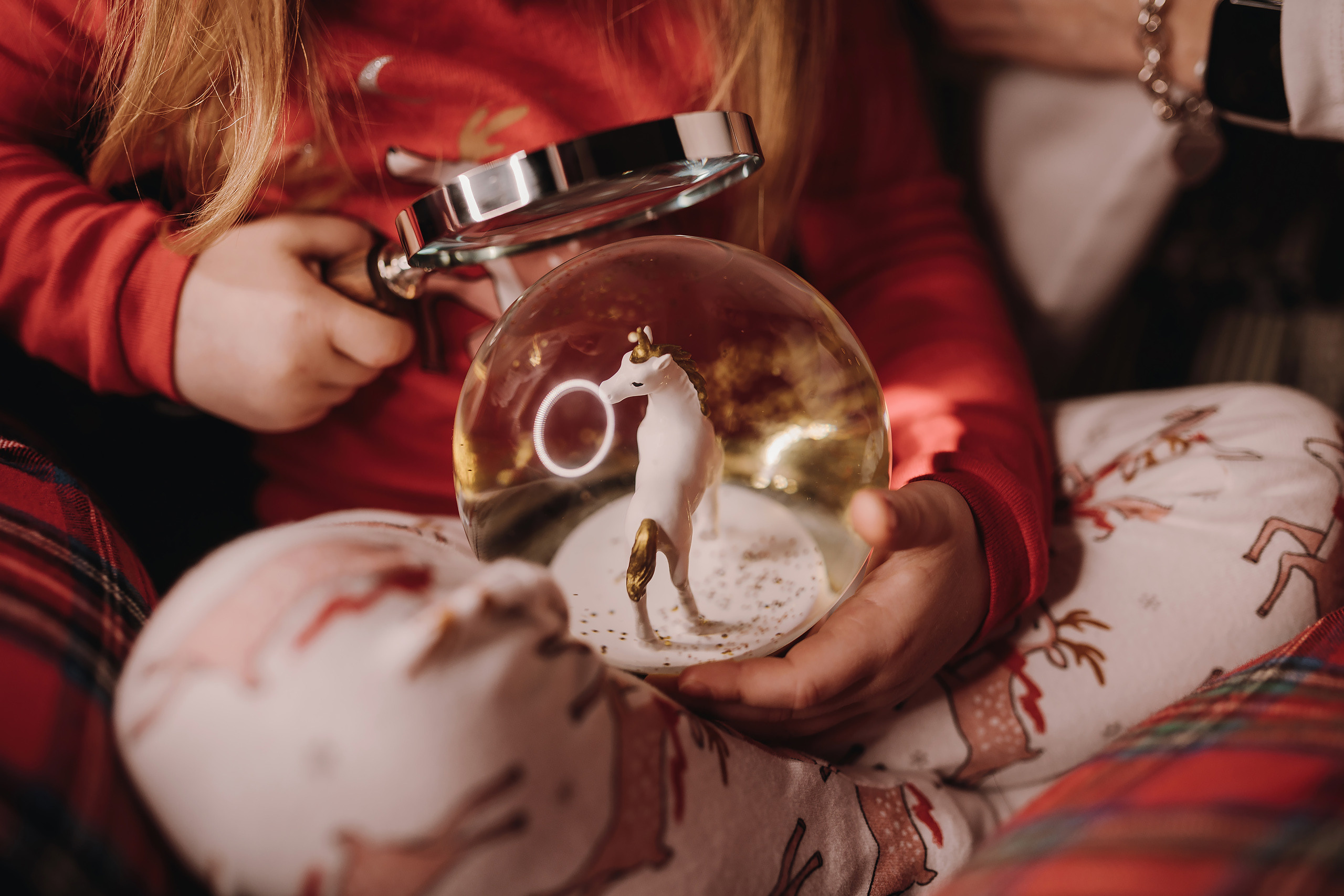 13.12.2022 Christmas Photoshoot 20. Wedding family event photographer in Chicago Nick Yushevich