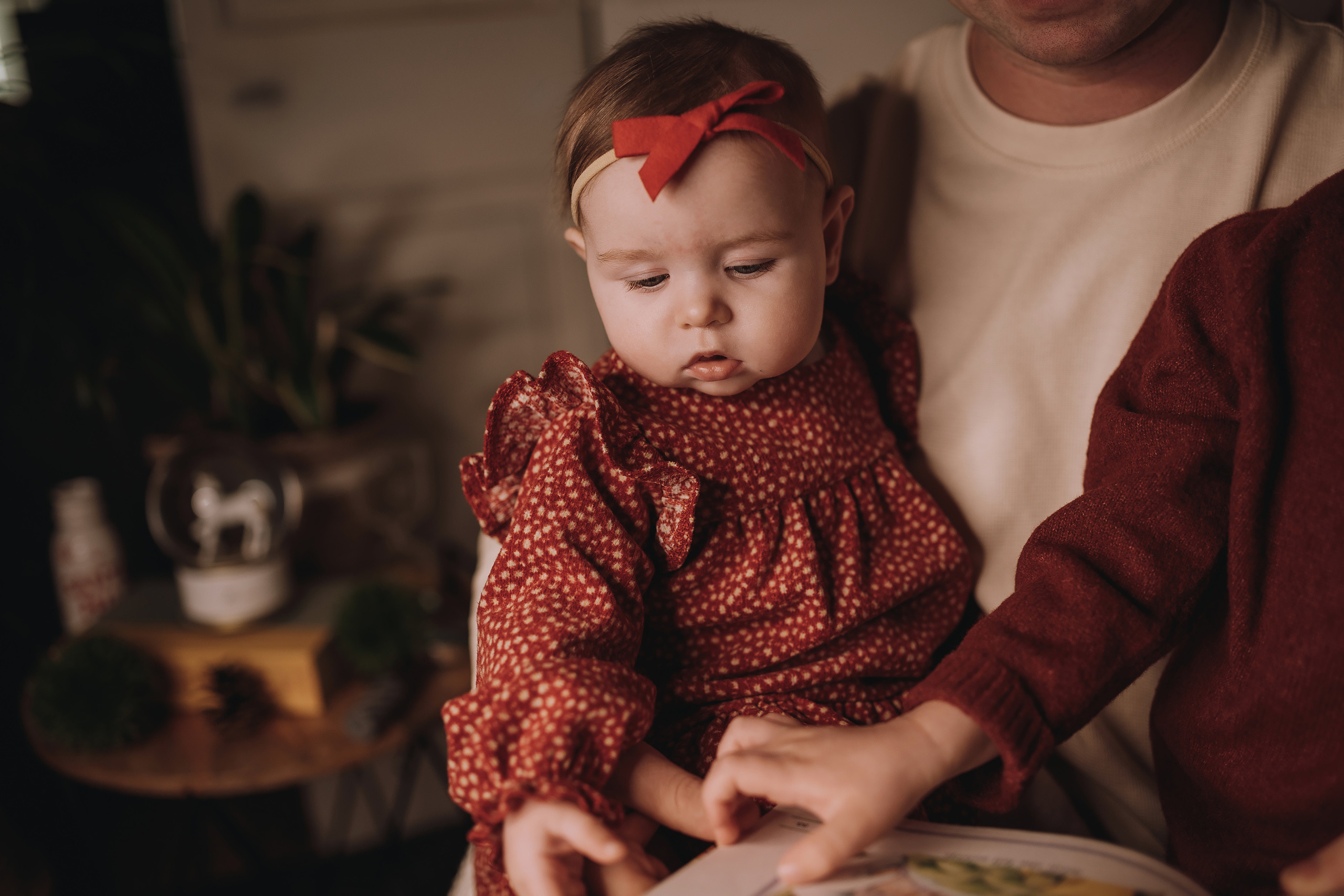 12.03.2022 Christmas Photoshoot 13. Wedding family event photographer in Chicago Nick Yushevich