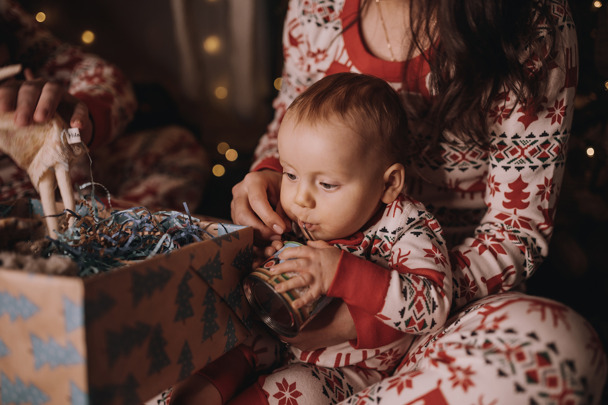 29.01.2023 Christmas Photoshoot 25. Wedding family event photographer in Chicago Nick Yushevich