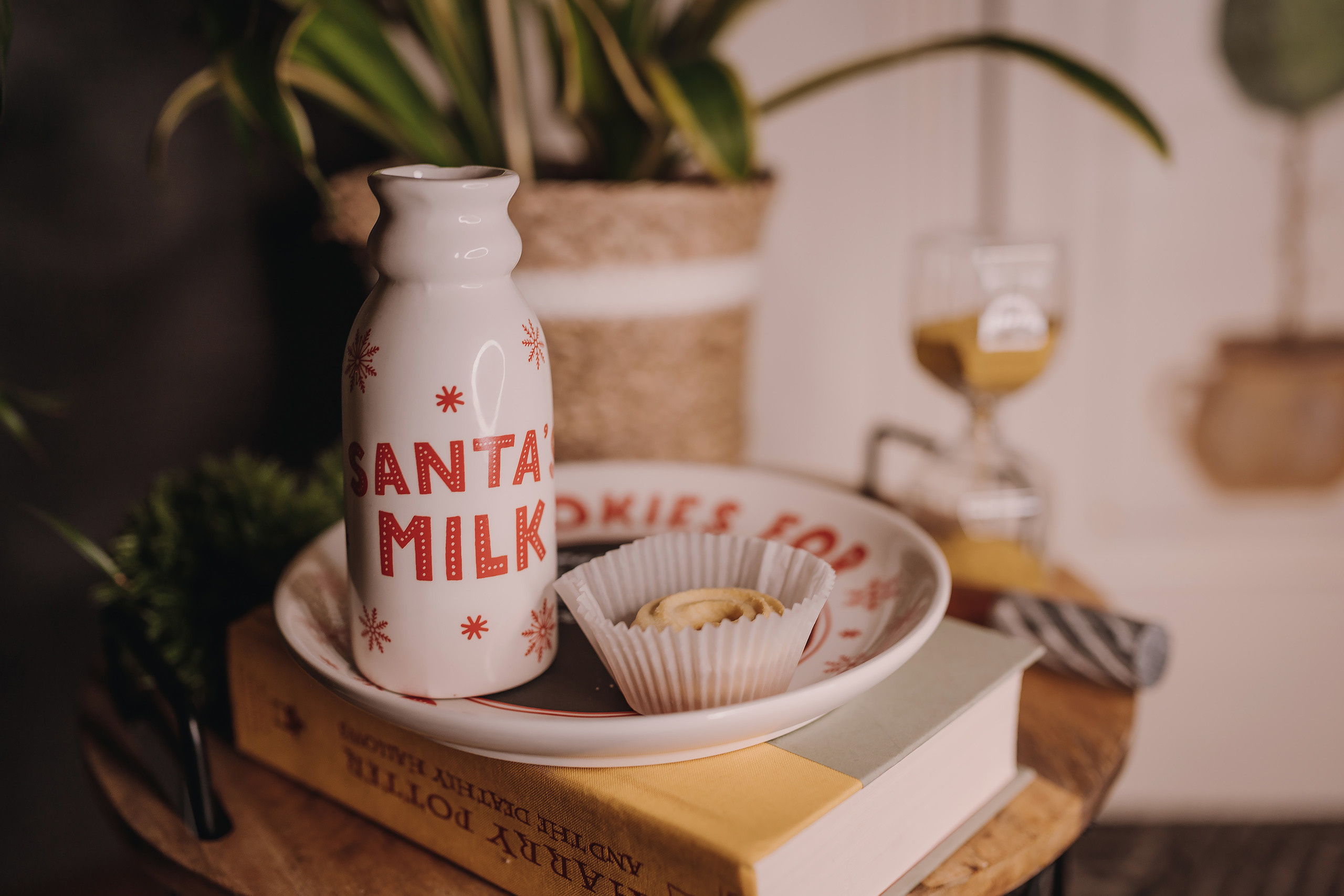 17.12.2022 Christmas Photoshoot 21. Wedding family event photographer in Chicago Nick Yushevich