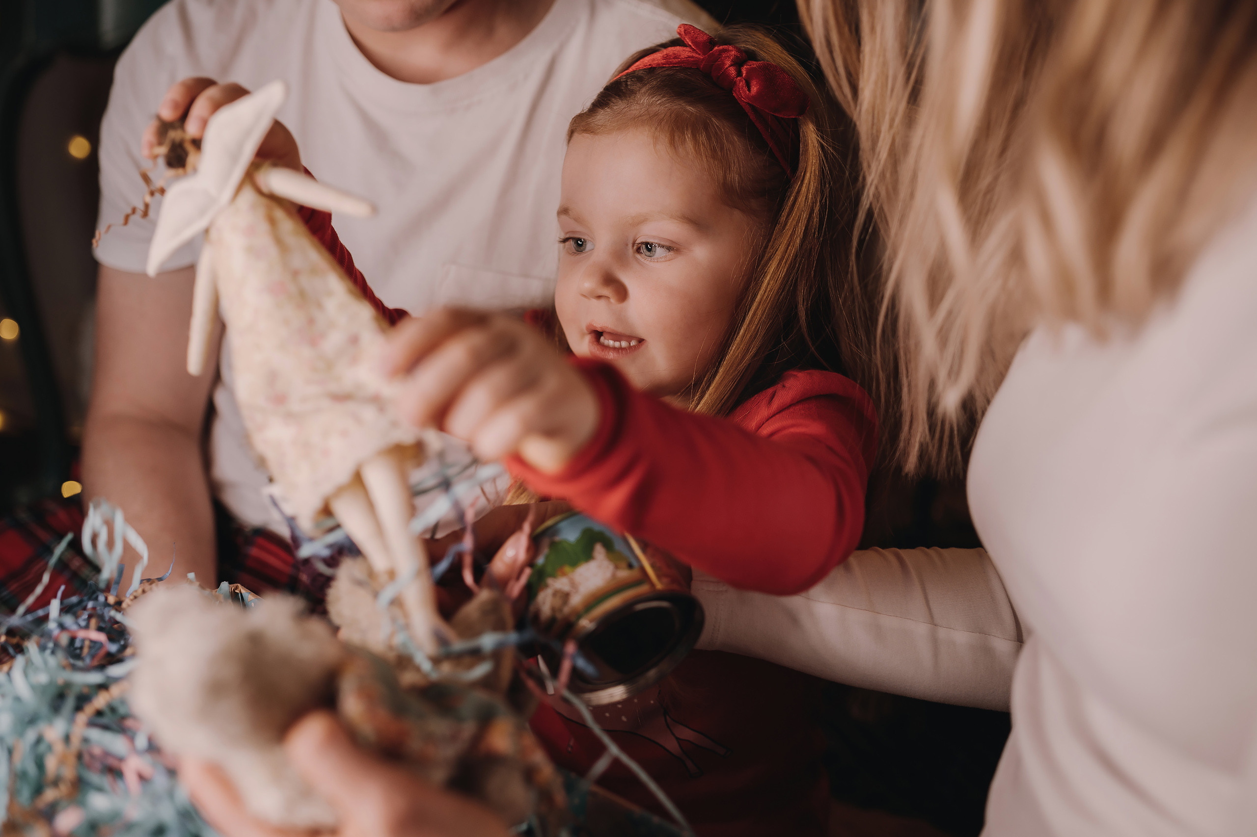 13.12.2022 Christmas Photoshoot 20. Wedding family event photographer in Chicago Nick Yushevich