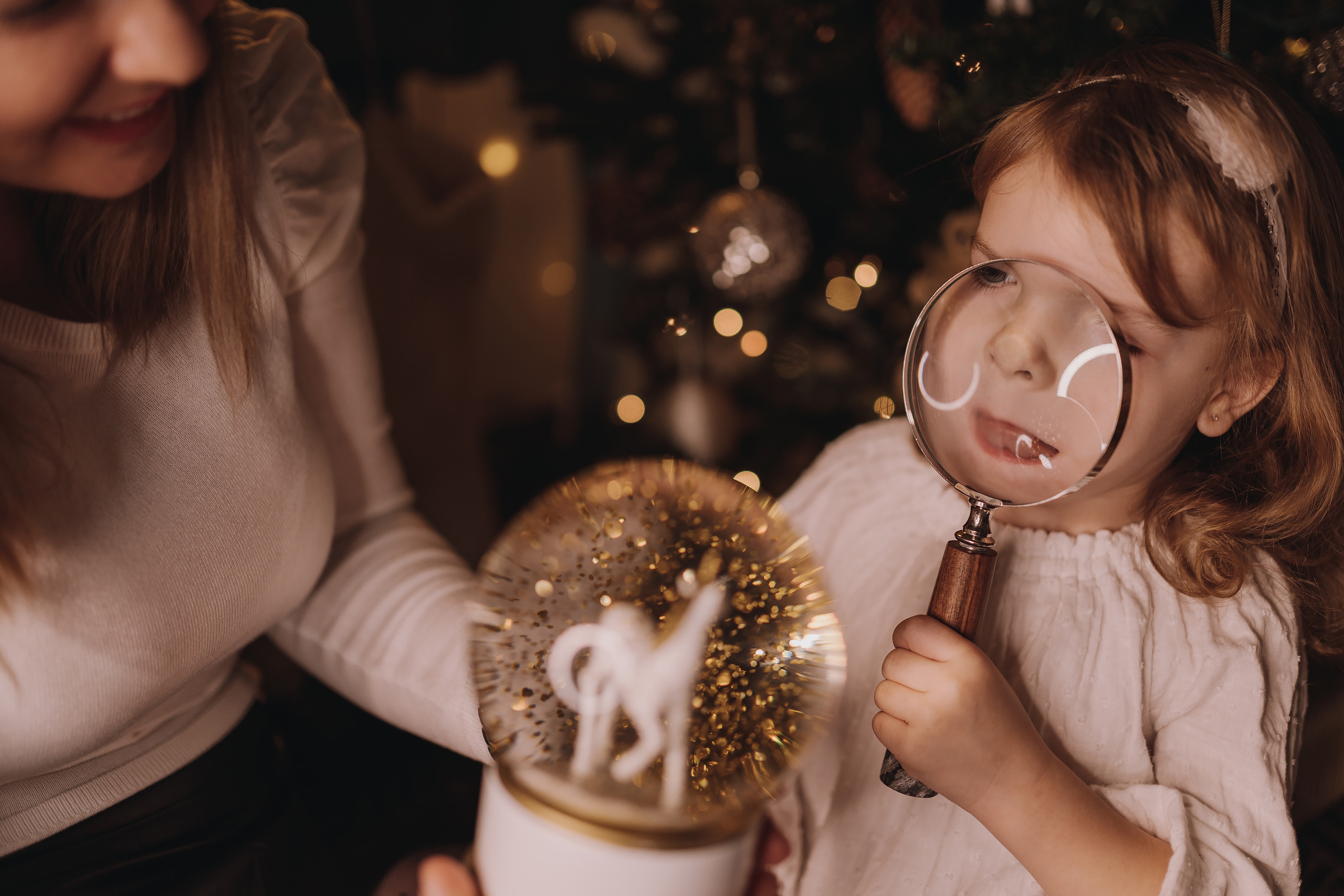 12.03.2022 Christmas Photoshoot 11. Wedding family event photographer in Chicago Nick Yushevich