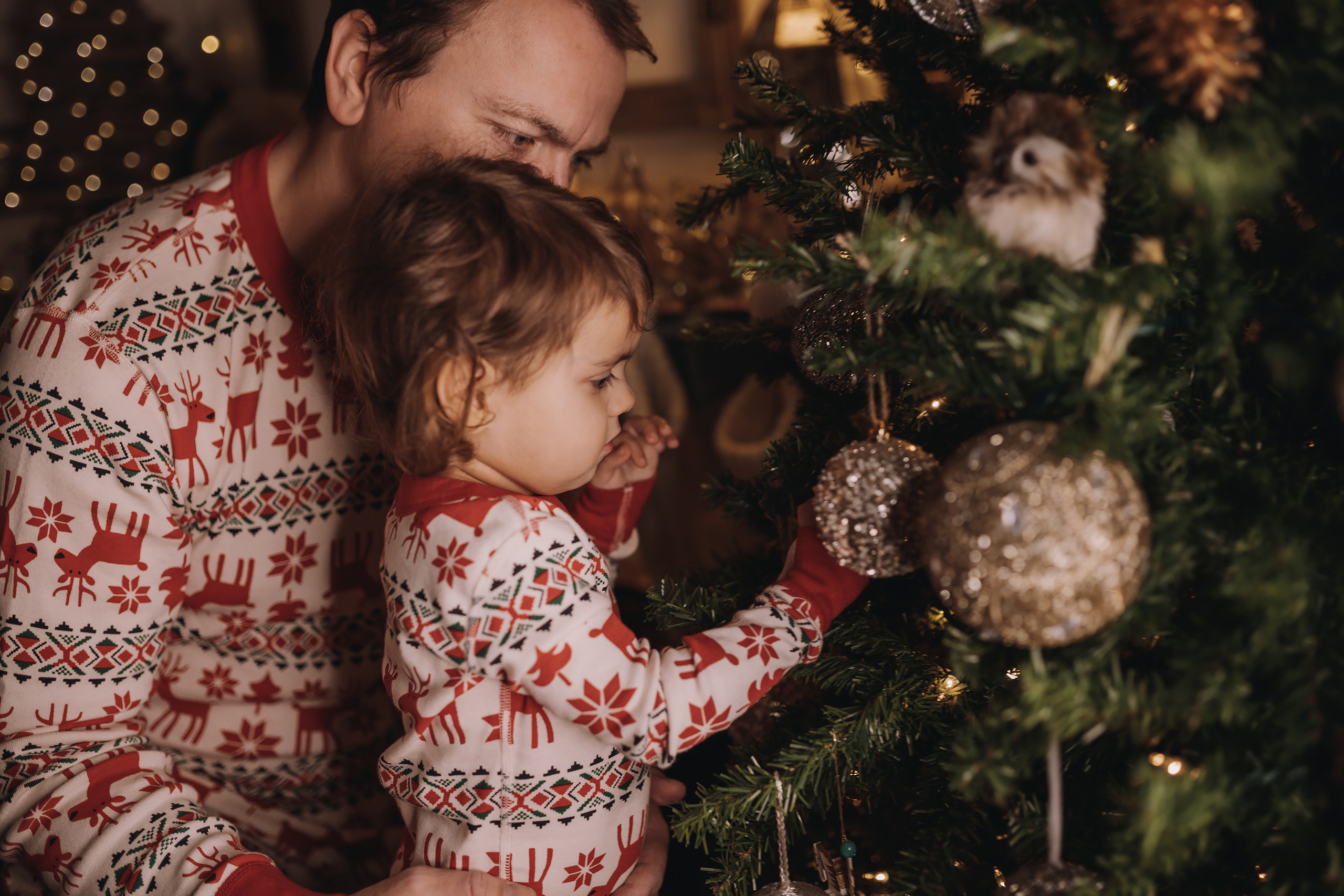 29.01.2023 Christmas Photoshoot 25. Wedding family event photographer in Chicago Nick Yushevich