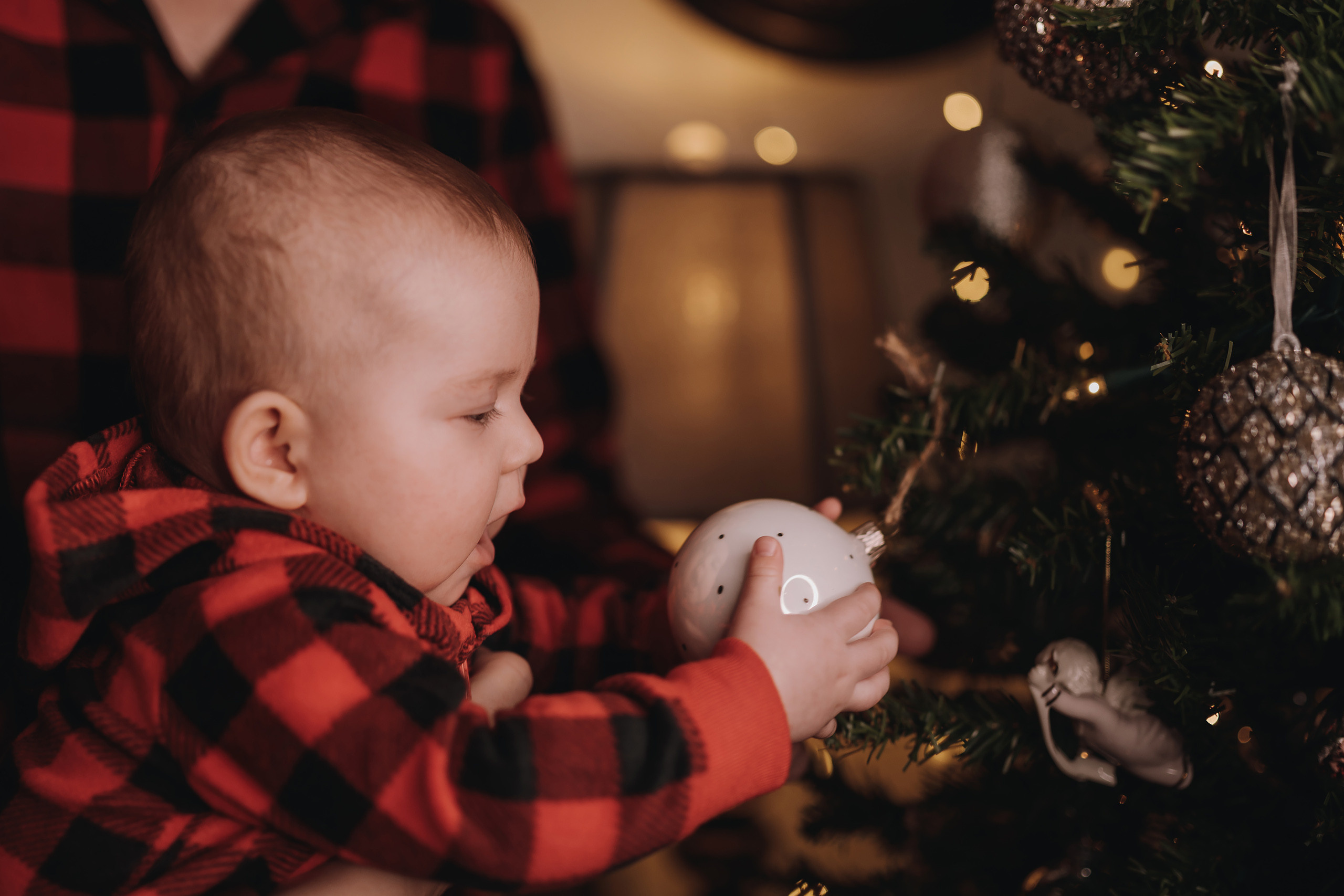 09.01.2023 Christmas Photoshoot 21. Wedding family event photographer in Chicago Nick Yushevich