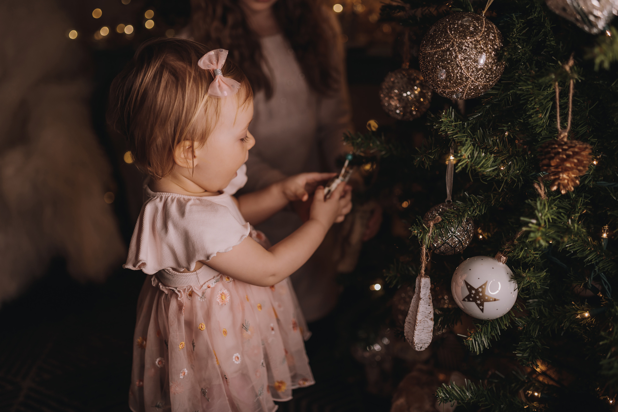 12.10.2022 Christmas Photoshoot 17. Wedding family event photographer in Chicago Nick Yushevich