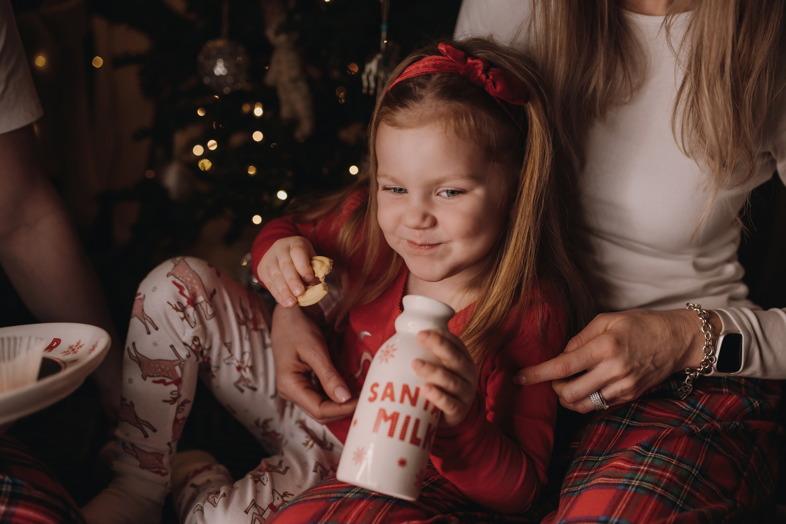 13.12.2022 Christmas Photoshoot 20. Wedding family event photographer in Chicago Nick Yushevich