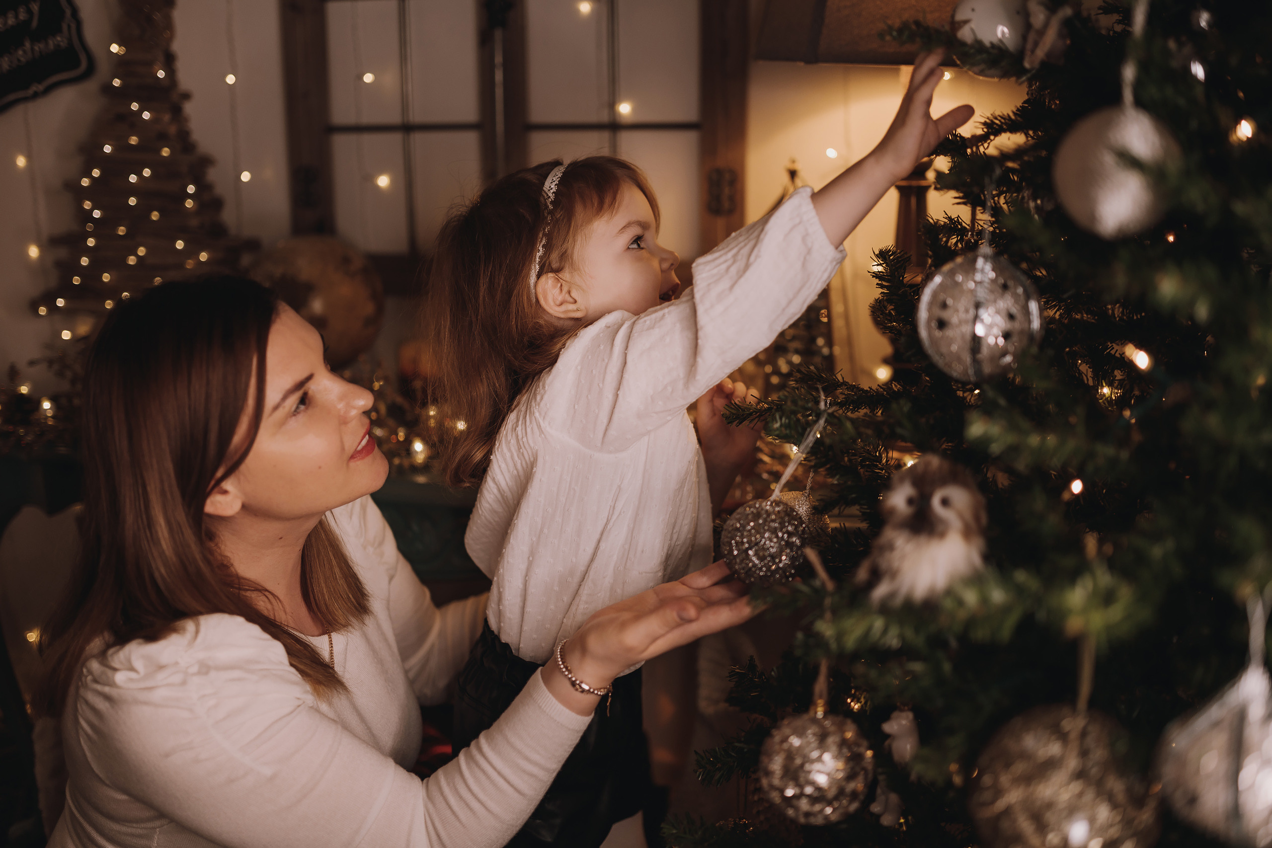 12.03.2022 Christmas Photoshoot 11. Wedding family event photographer in Chicago Nick Yushevich