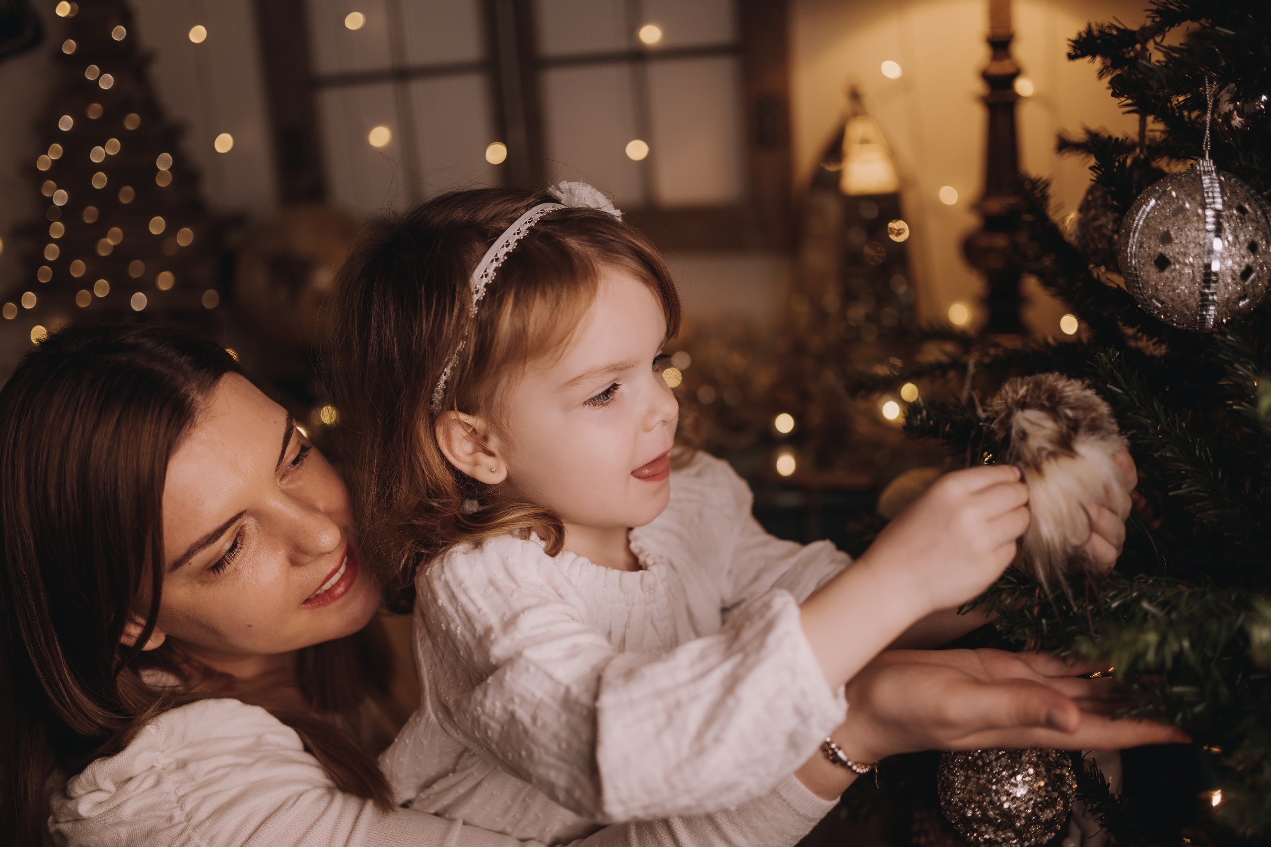 12.03.2022 Christmas Photoshoot 11. Wedding family event photographer in Chicago Nick Yushevich