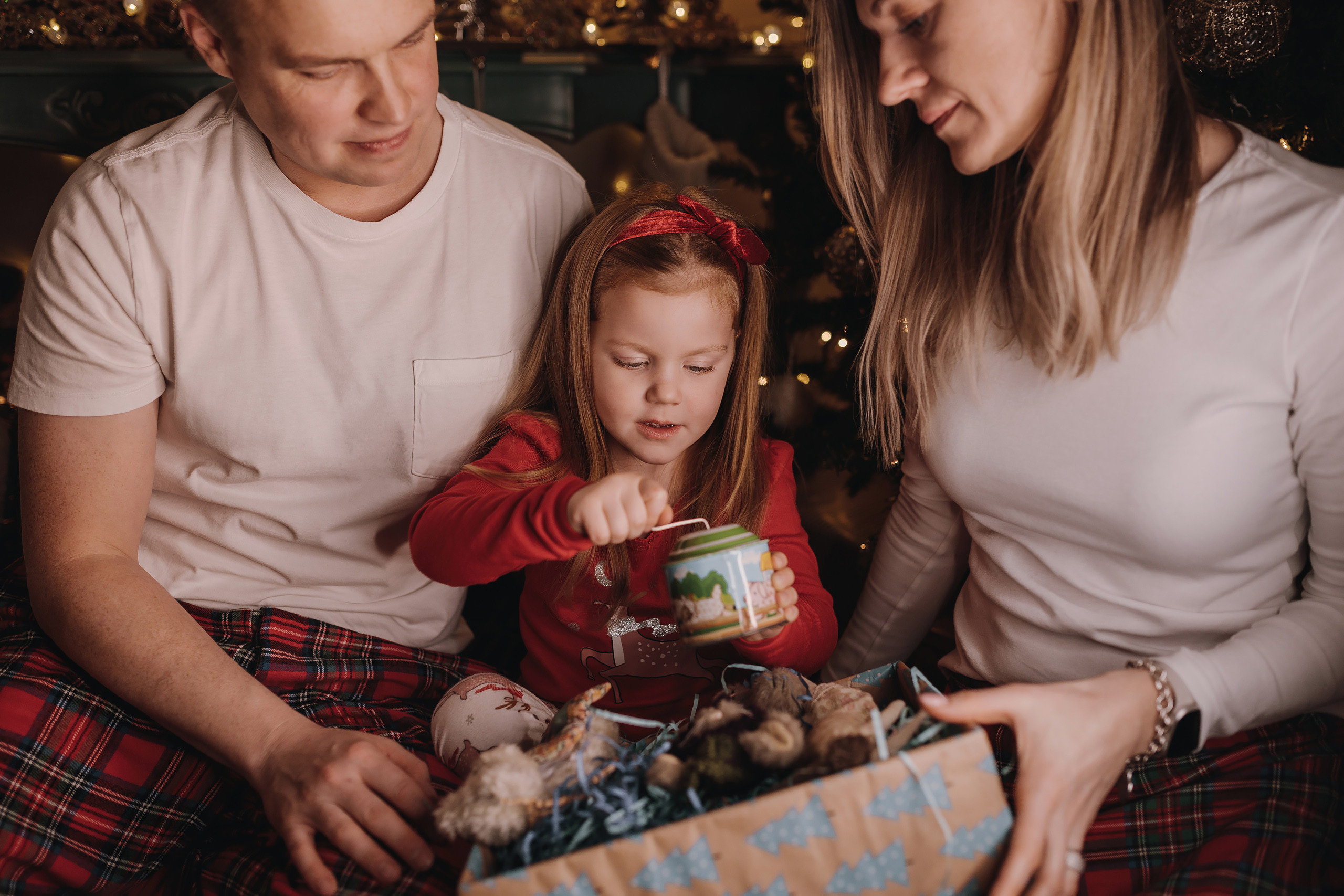 13.12.2022 Christmas Photoshoot 20. Wedding family event photographer in Chicago Nick Yushevich