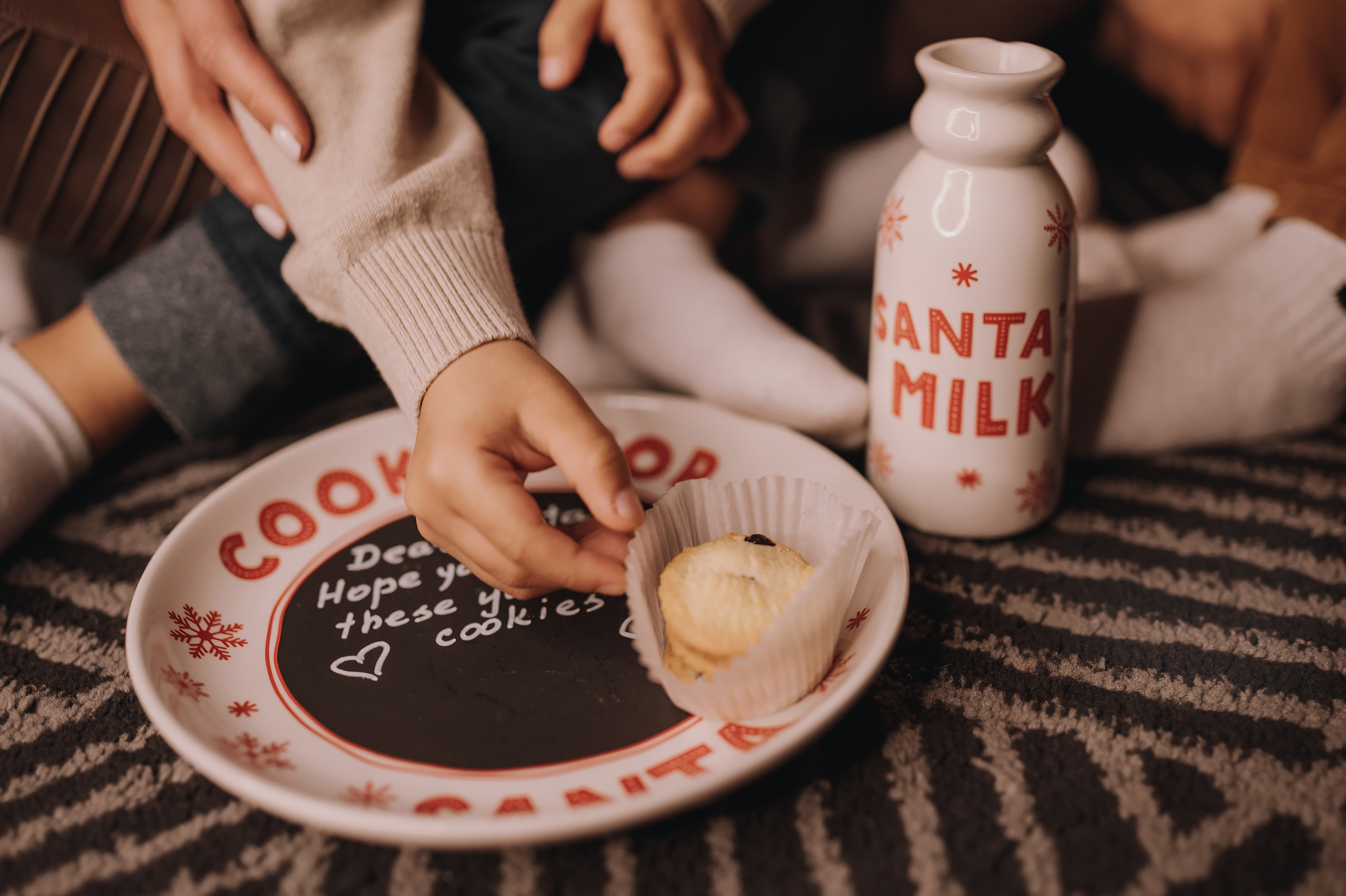 12.11.2022 Christmas Photoshoot 18. Wedding family event photographer in Chicago Nick Yushevich