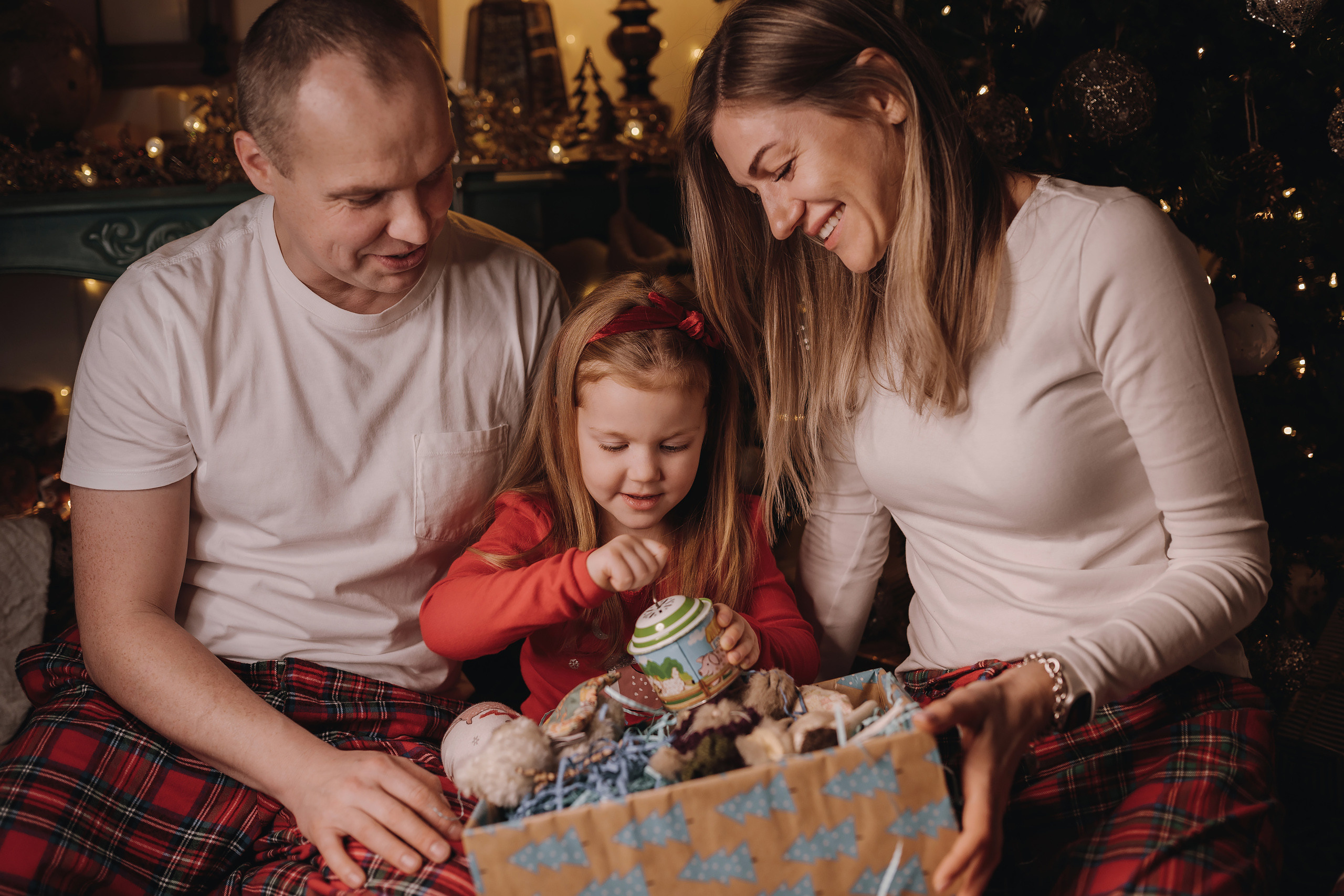 13.12.2022 Christmas Photoshoot 20. Wedding family event photographer in Chicago Nick Yushevich