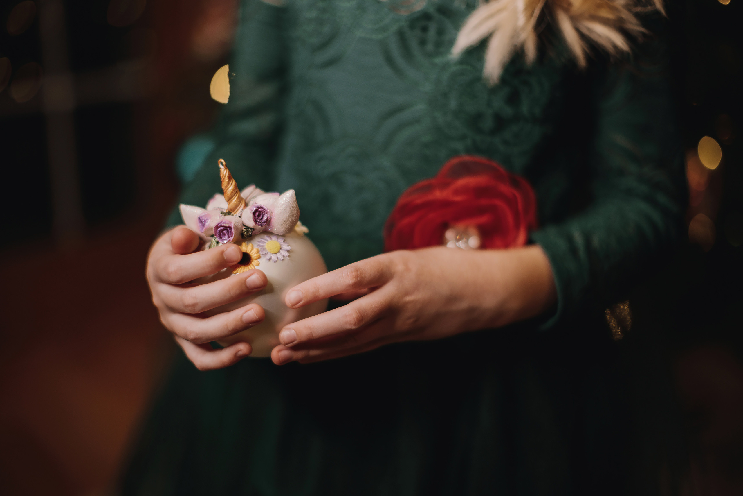 12.09.2022 Christmas Photoshoot 15. Wedding family event photographer in Chicago Nick Yushevich