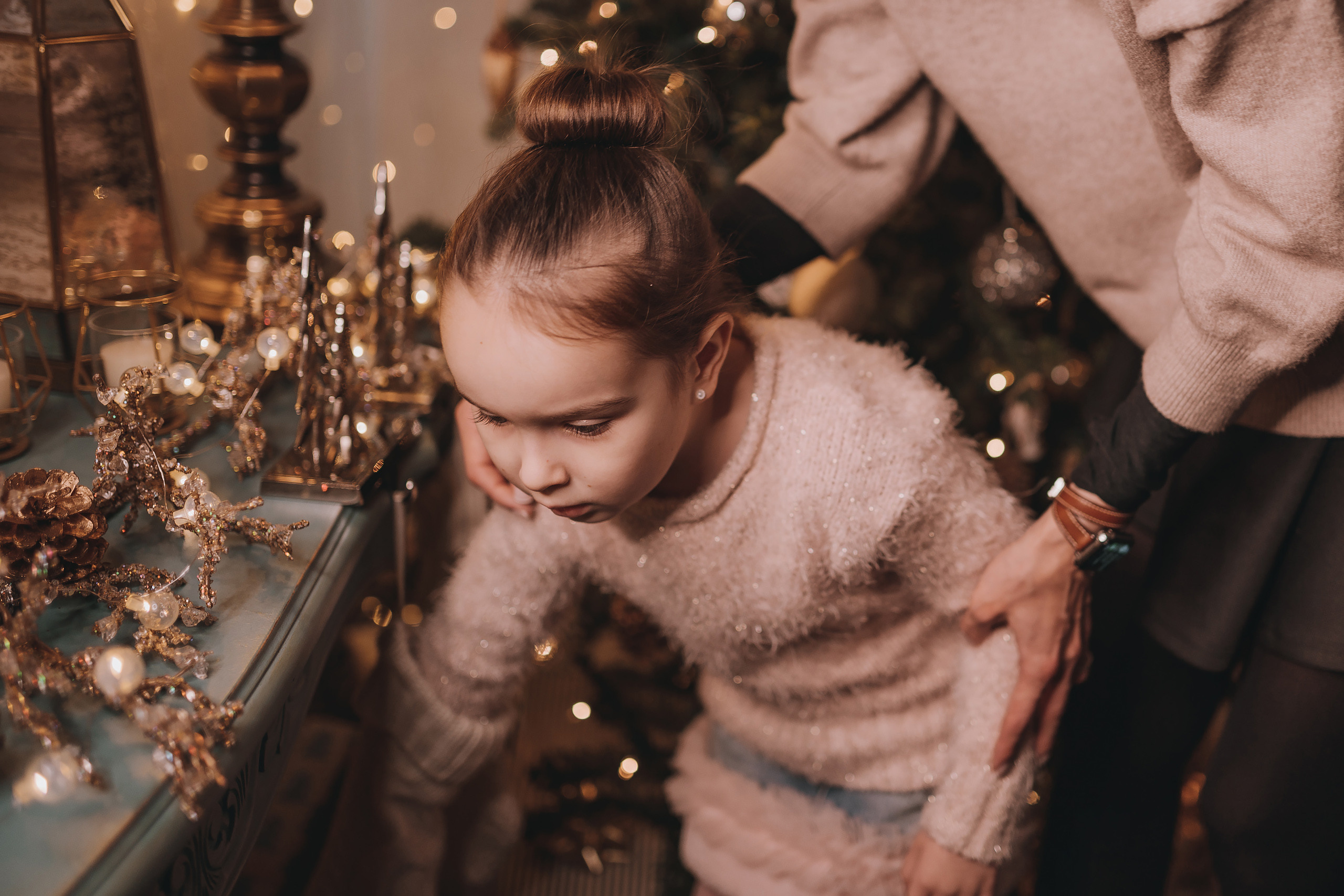 17.12.2022 Christmas Photoshoot 21. Wedding family event photographer in Chicago Nick Yushevich