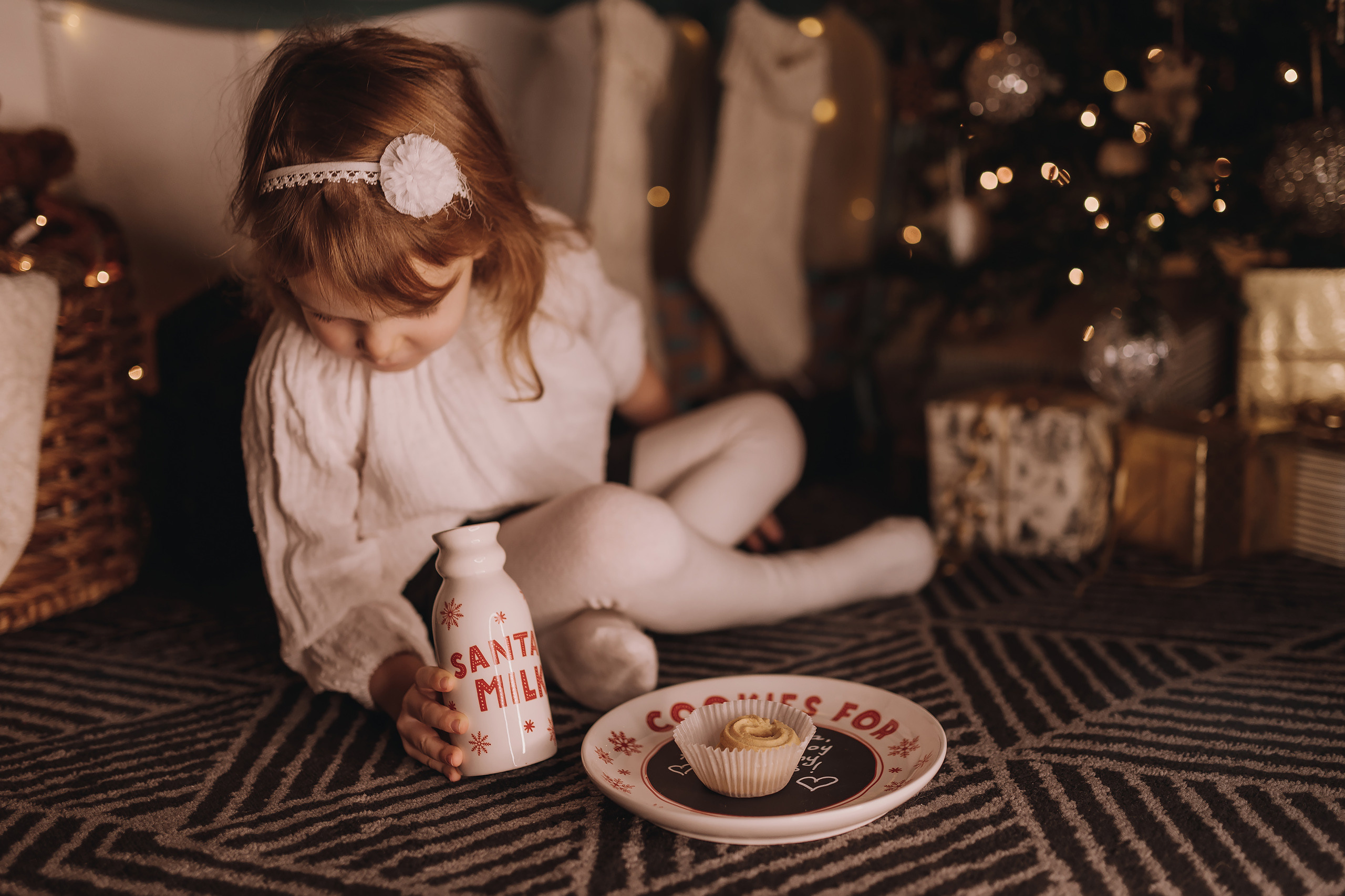 12.03.2022 Christmas Photoshoot 11. Wedding family event photographer in Chicago Nick Yushevich