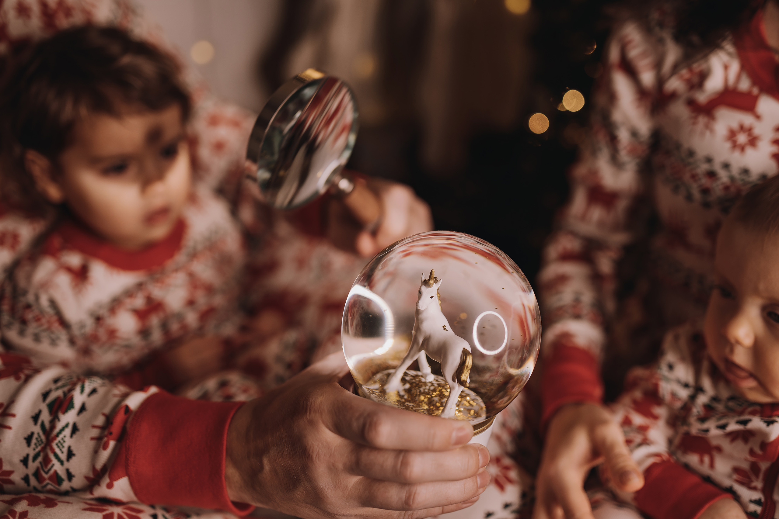 29.01.2023 Christmas Photoshoot 25. Wedding family event photographer in Chicago Nick Yushevich