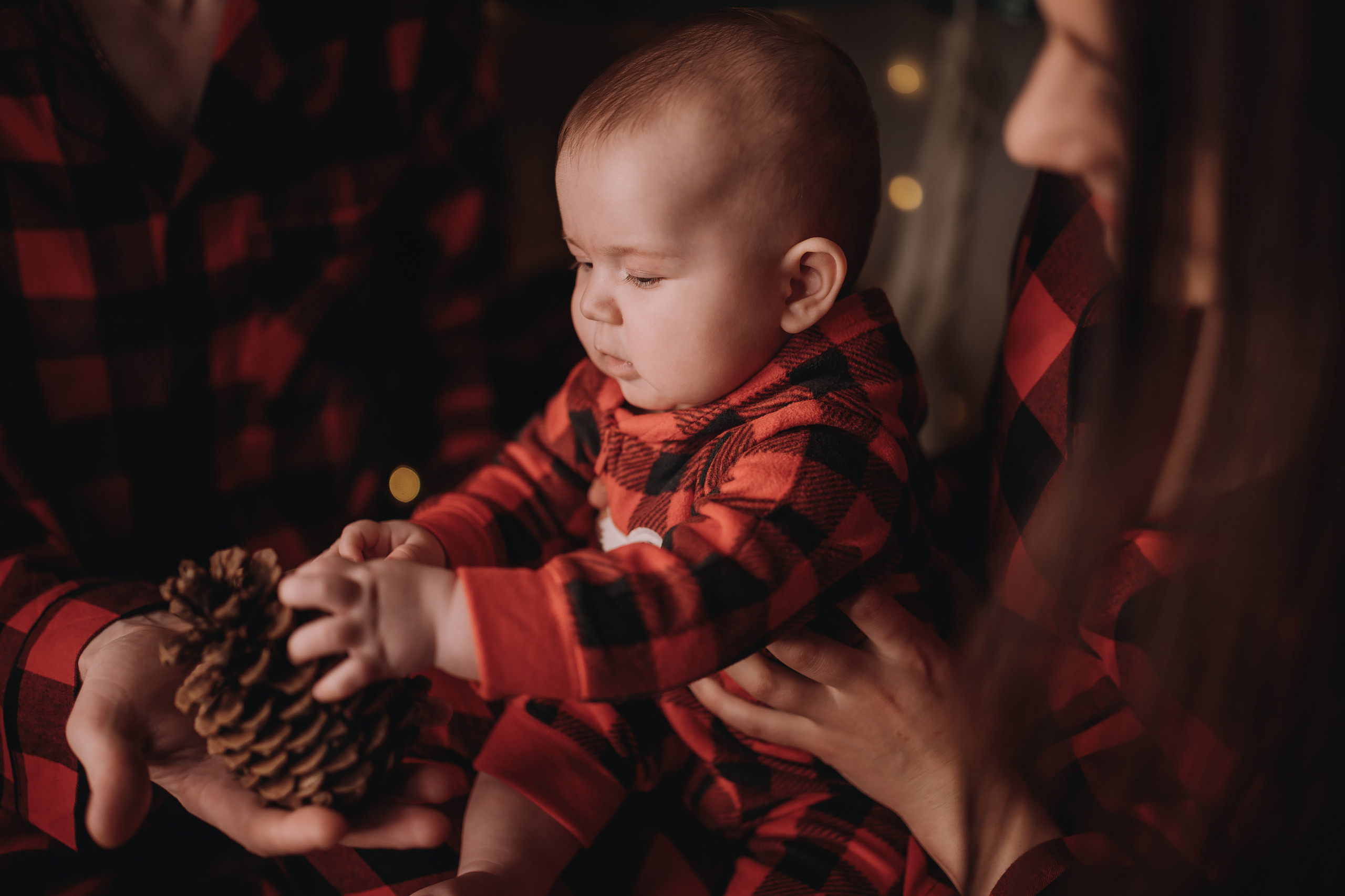 09.01.2023 Christmas Photoshoot 21. Wedding family event photographer in Chicago Nick Yushevich