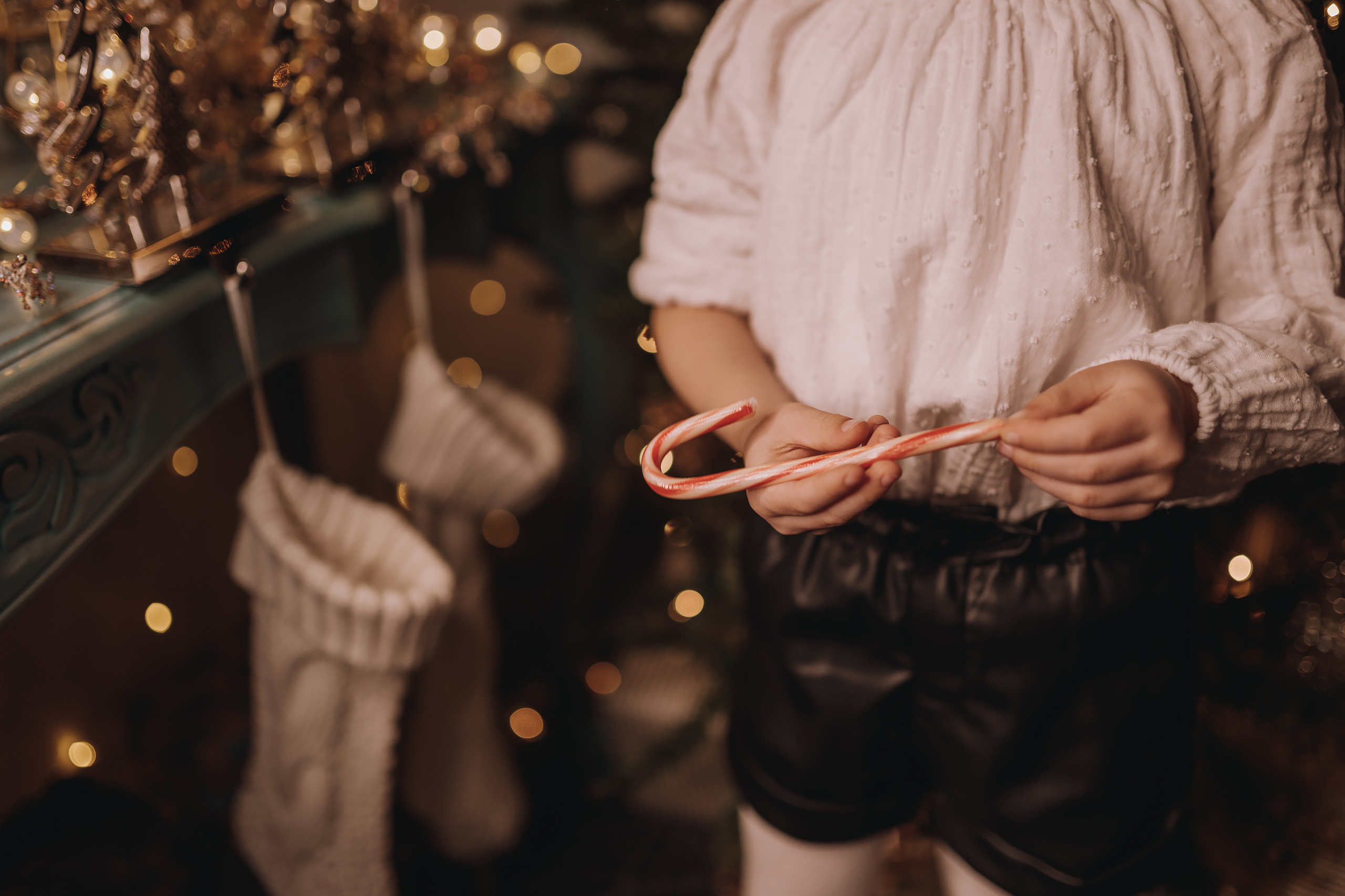 12.03.2022 Christmas Photoshoot 11. Wedding family event photographer in Chicago Nick Yushevich