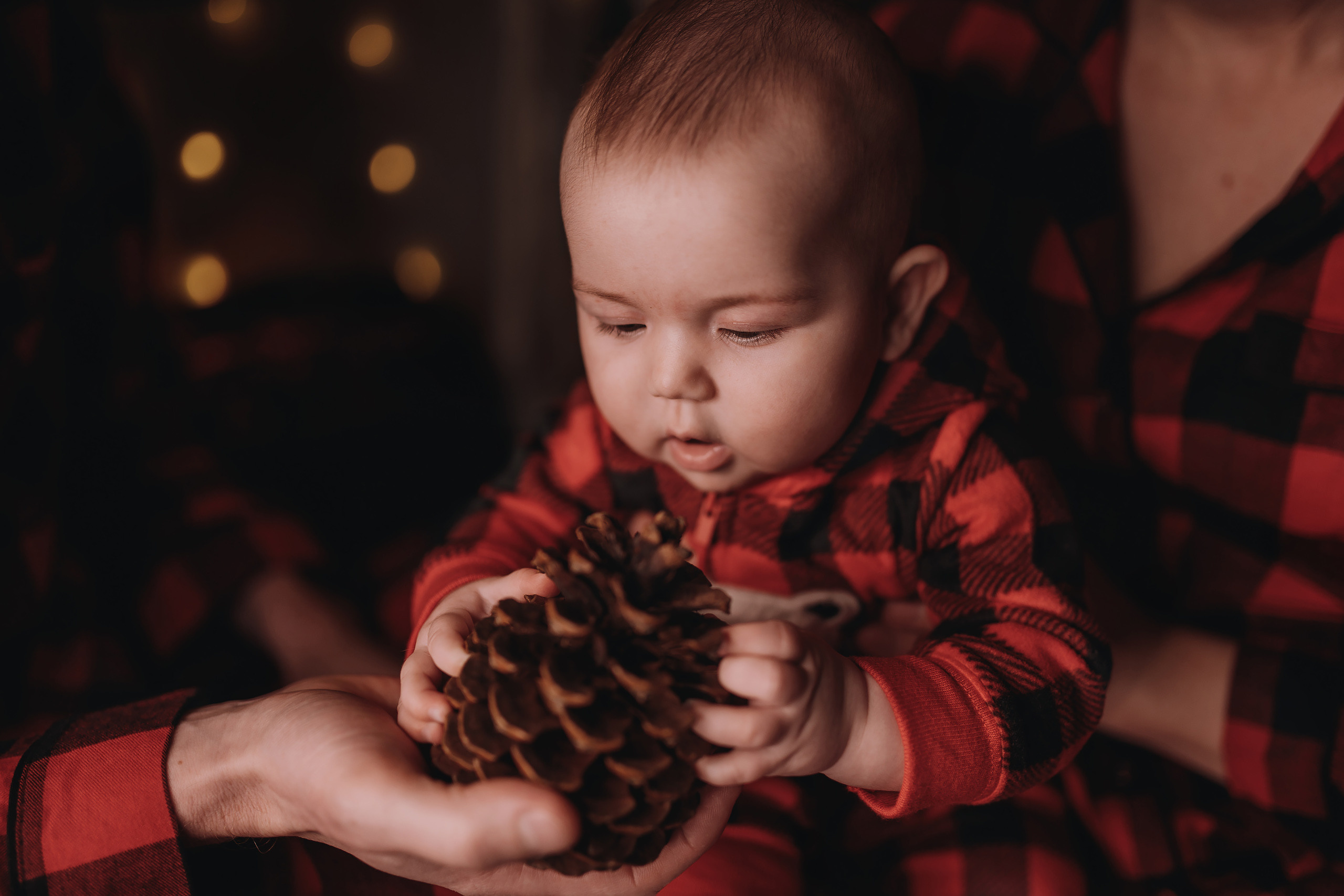 09.01.2023 Christmas Photoshoot 21. Wedding family event photographer in Chicago Nick Yushevich