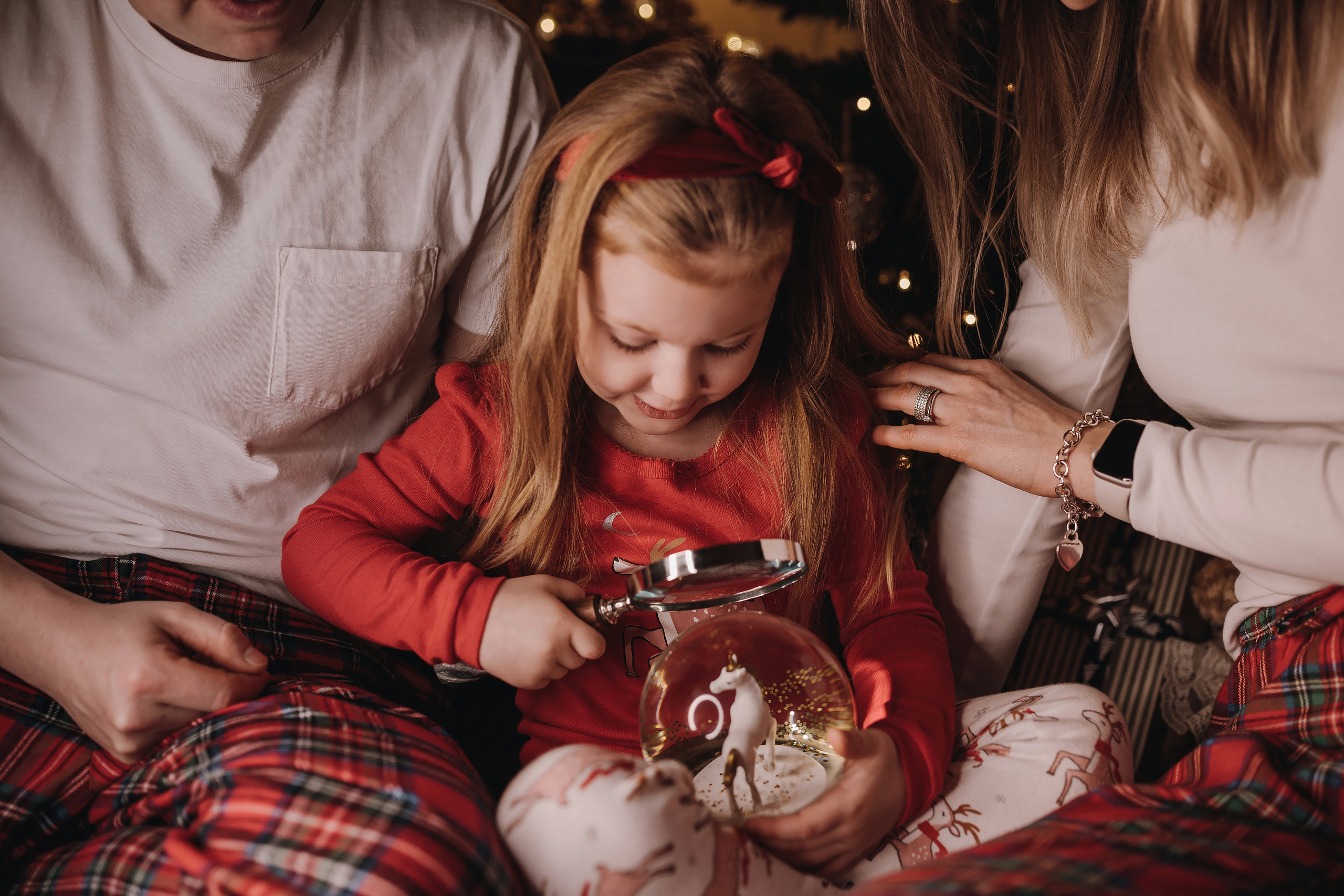 13.12.2022 Christmas Photoshoot 20. Wedding family event photographer in Chicago Nick Yushevich