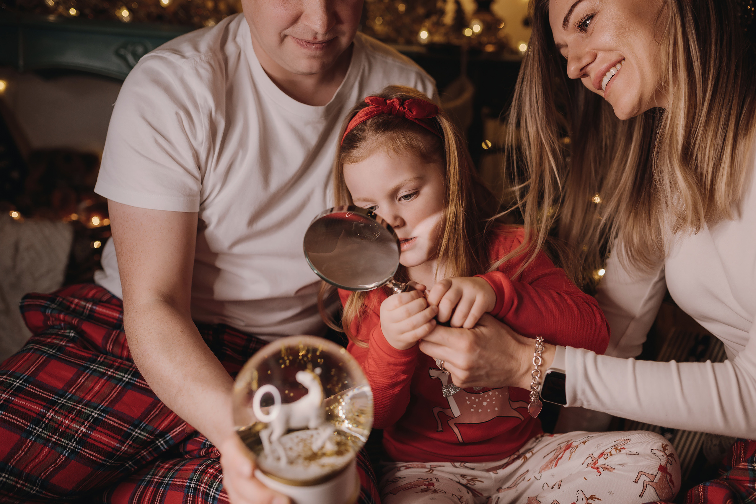 13.12.2022 Christmas Photoshoot 20. Wedding family event photographer in Chicago Nick Yushevich