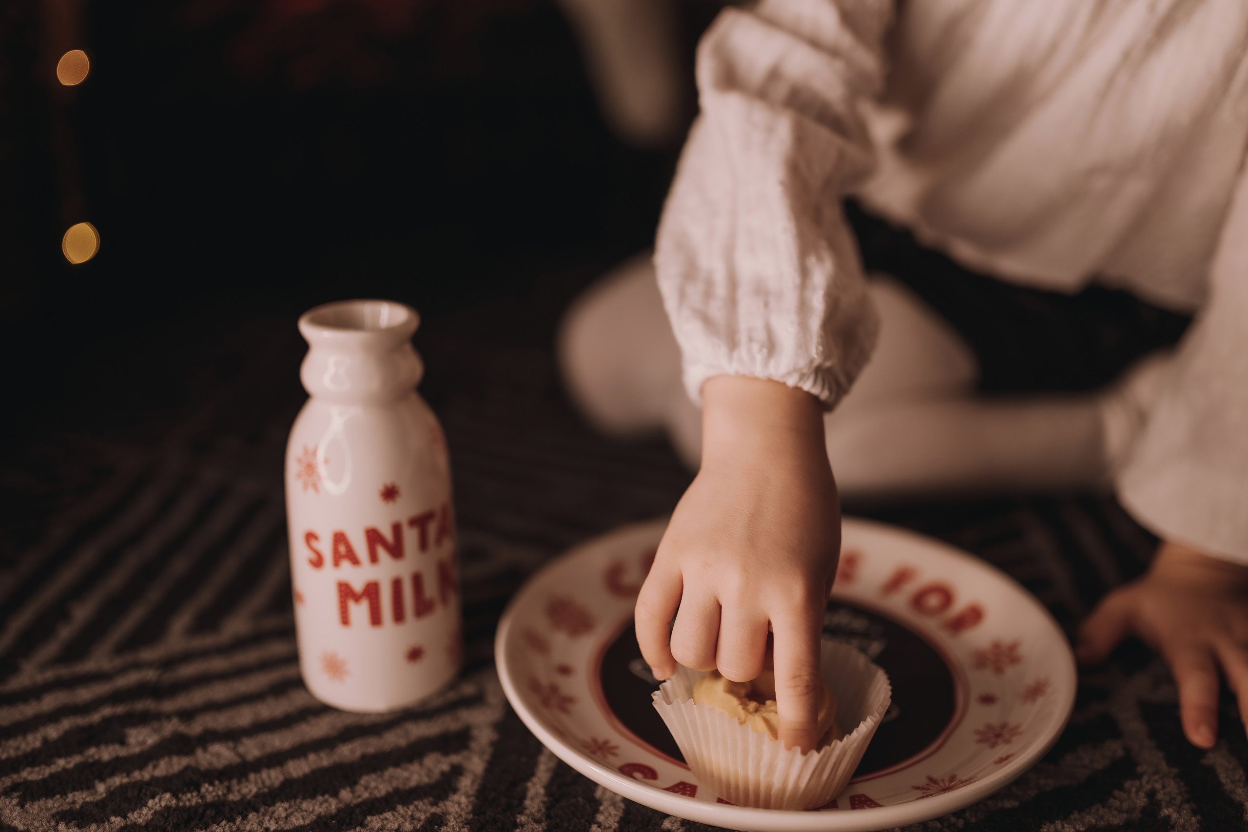 12.03.2022 Christmas Photoshoot 11. Wedding family event photographer in Chicago Nick Yushevich