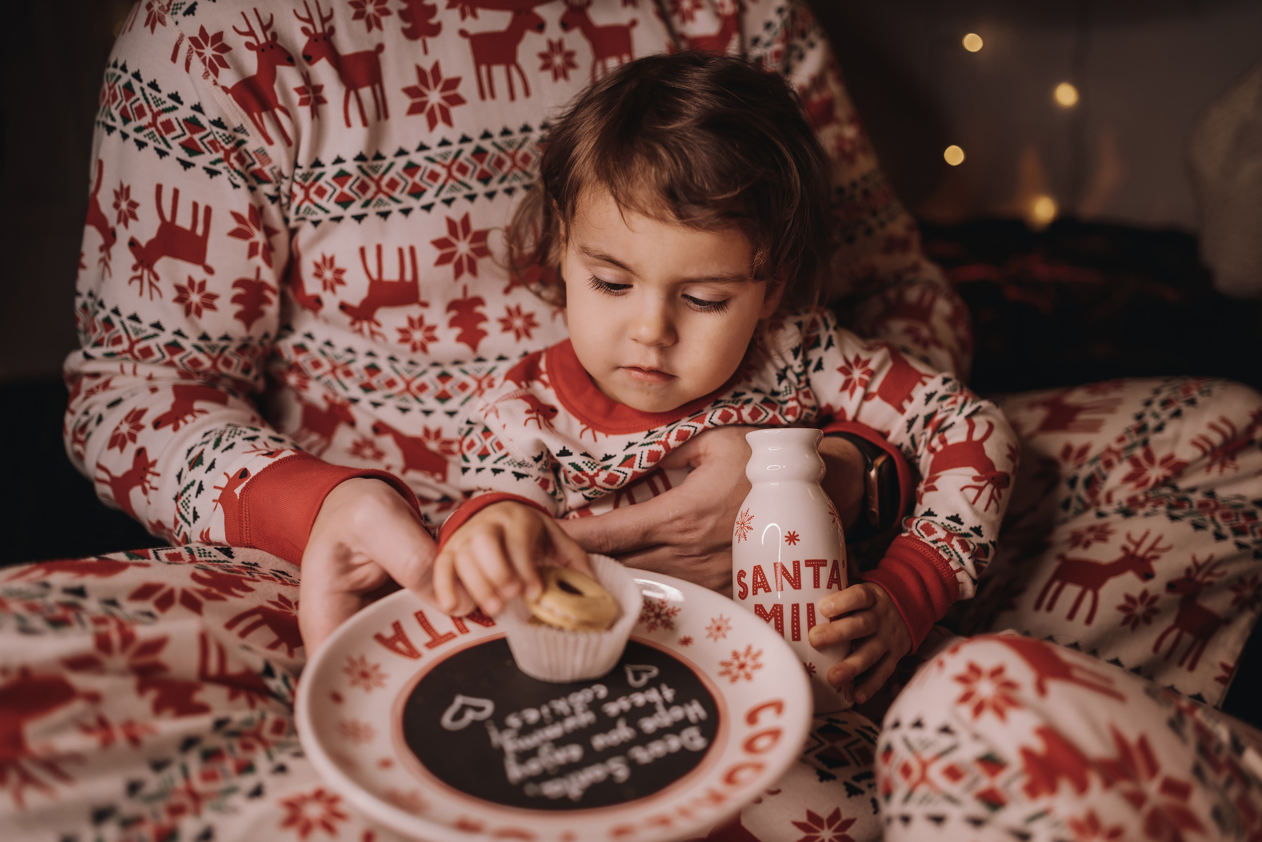 29.01.2023 Christmas Photoshoot 25. Wedding family event photographer in Chicago Nick Yushevich