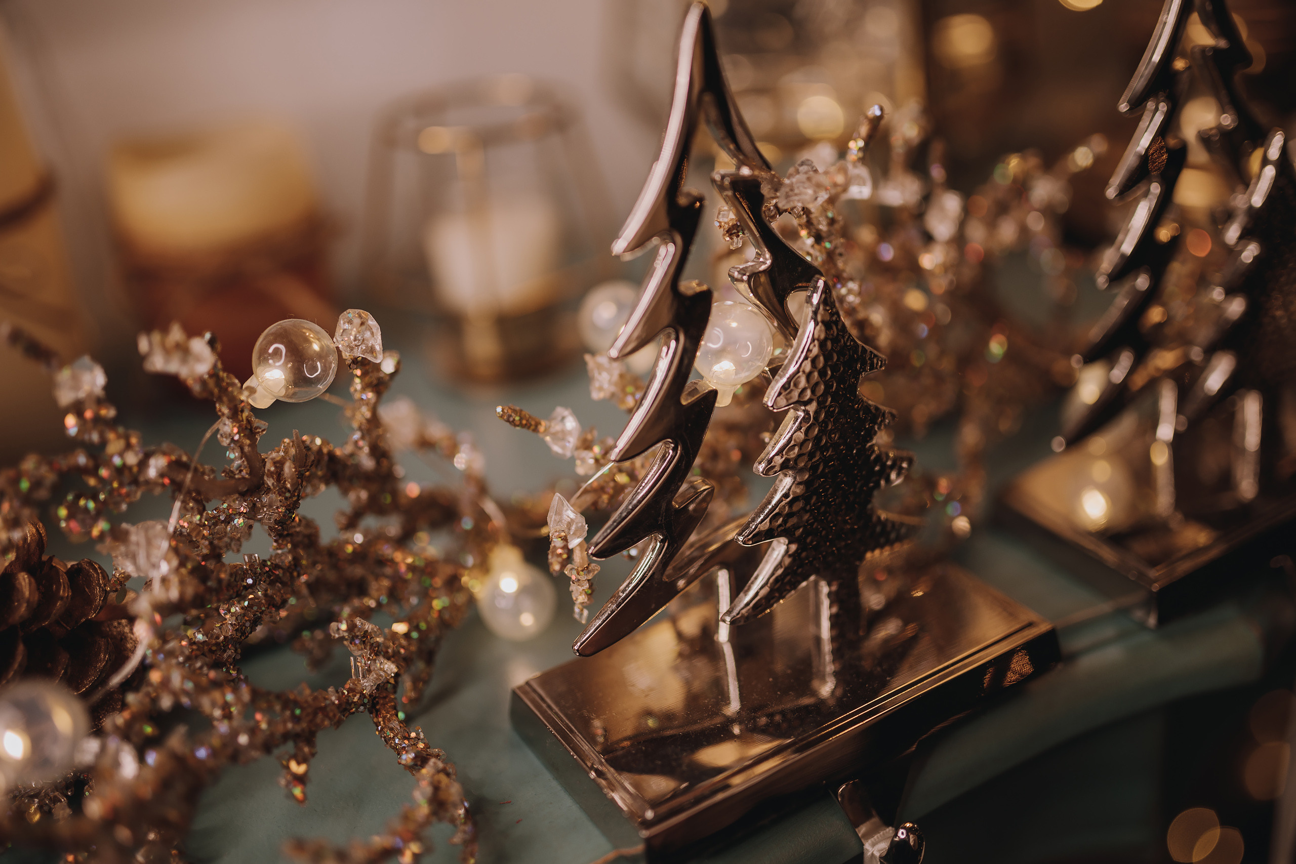 12.03.2022 Christmas Photoshoot 11. Wedding family event photographer in Chicago Nick Yushevich