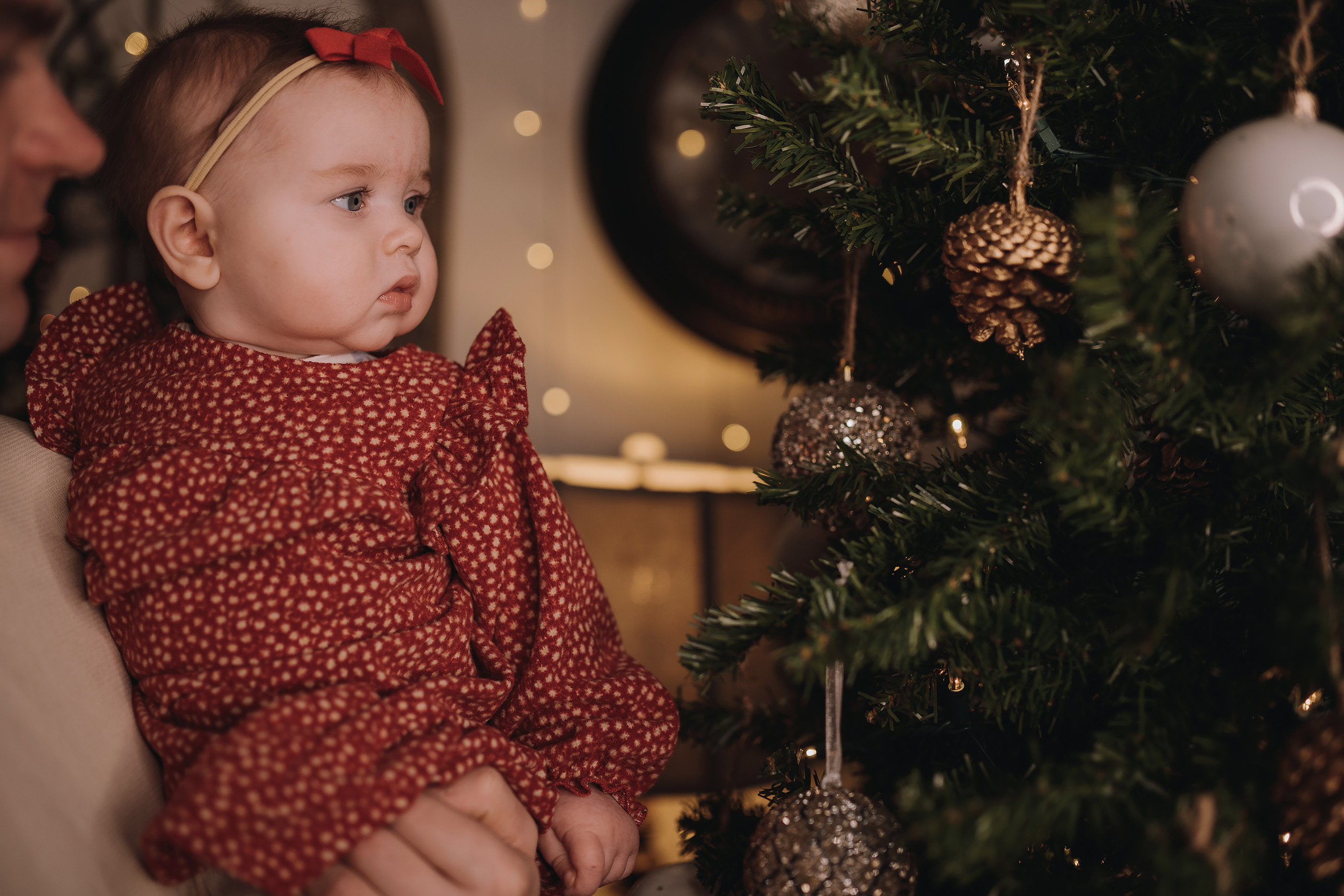 12.03.2022 Christmas Photoshoot 13. Wedding family event photographer in Chicago Nick Yushevich