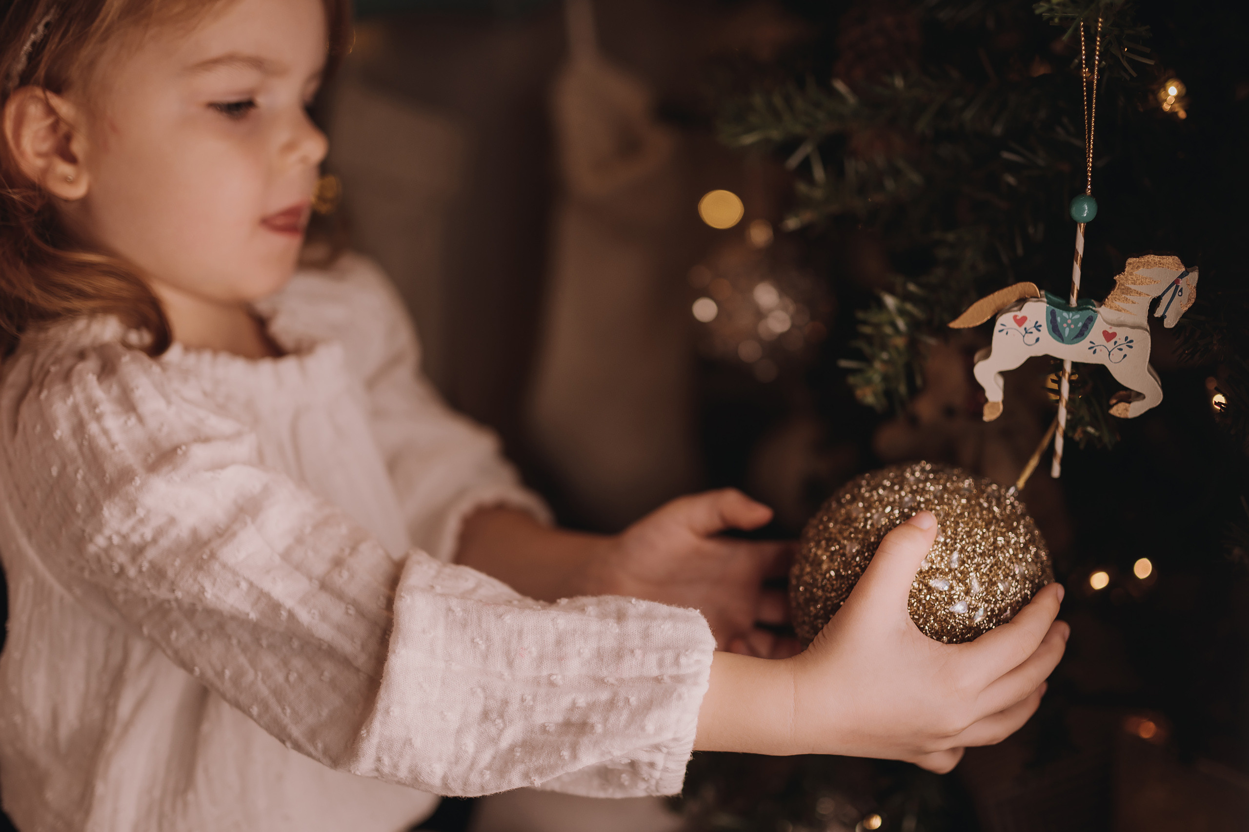 12.03.2022 Christmas Photoshoot 11. Wedding family event photographer in Chicago Nick Yushevich