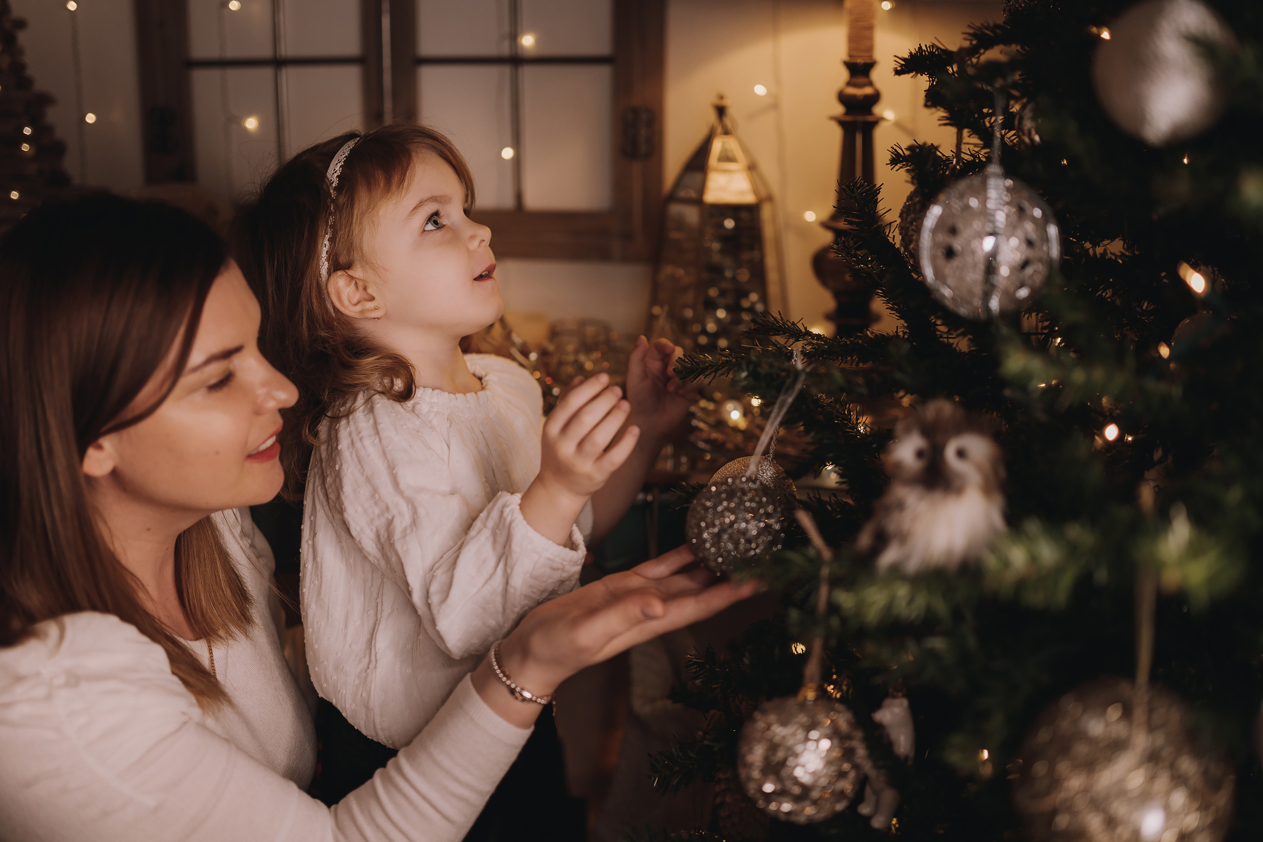 12.03.2022 Christmas Photoshoot 11. Wedding family event photographer in Chicago Nick Yushevich