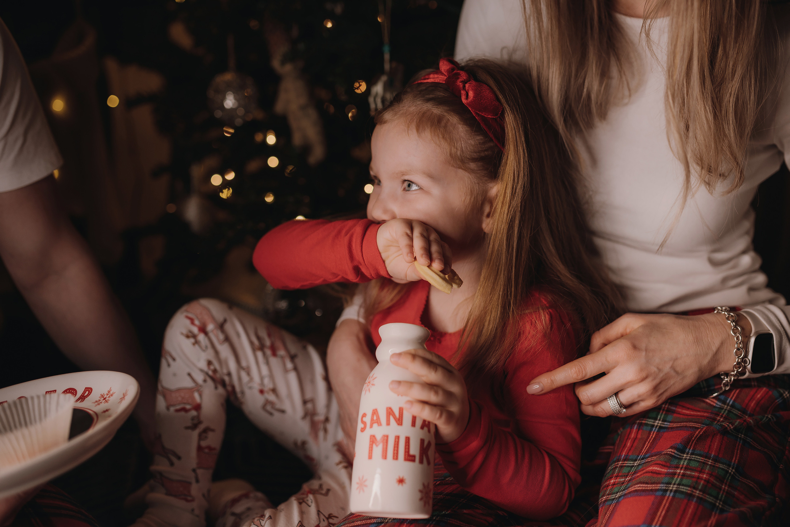 13.12.2022 Christmas Photoshoot 20. Wedding family event photographer in Chicago Nick Yushevich