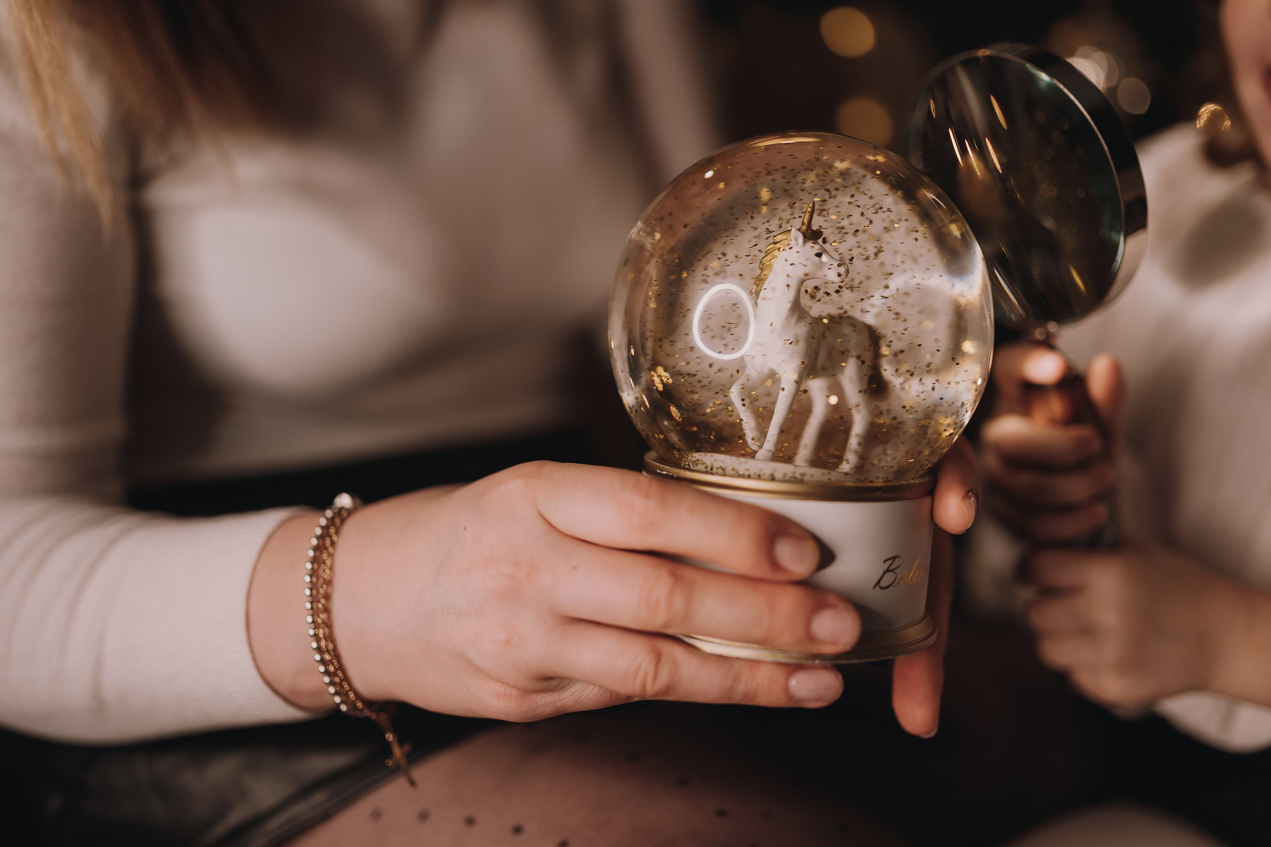 12.03.2022 Christmas Photoshoot 11. Wedding family event photographer in Chicago Nick Yushevich