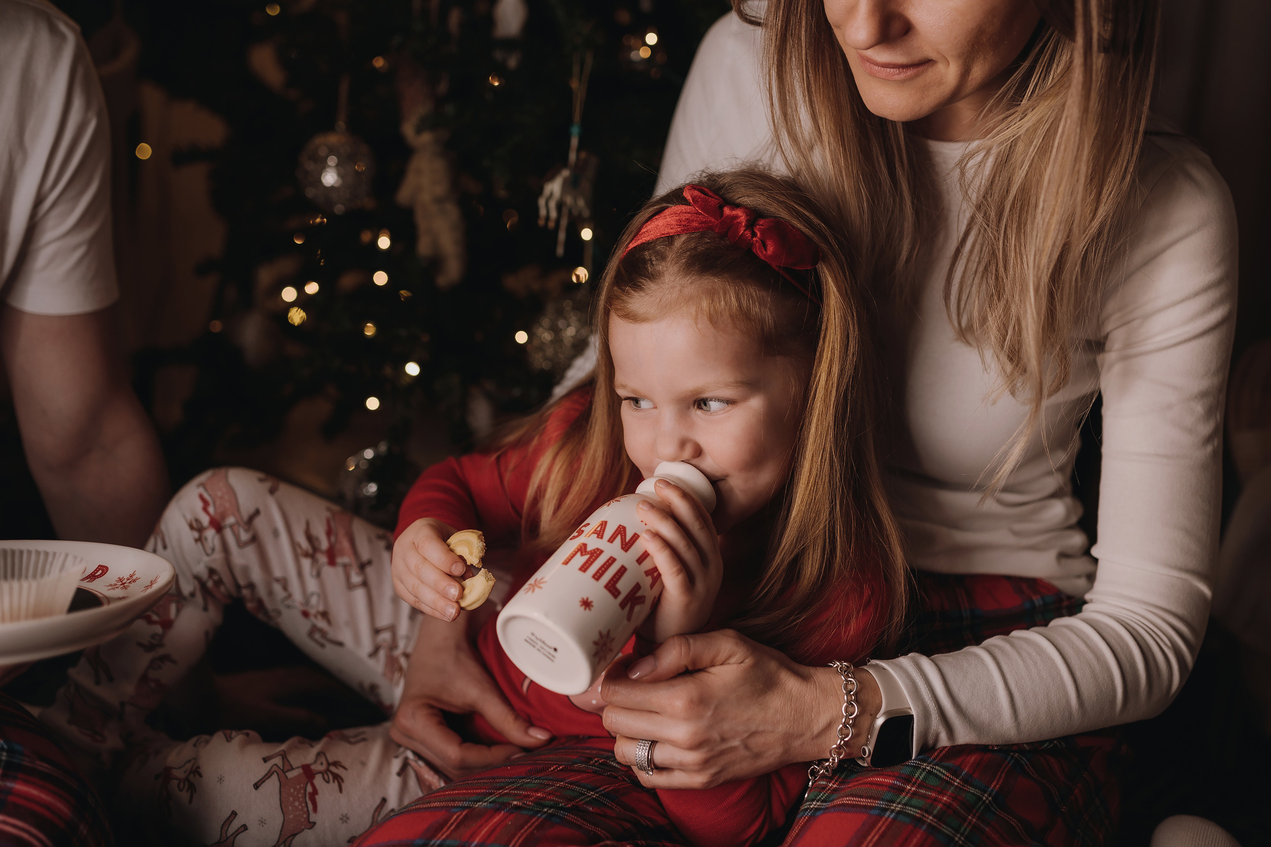 13.12.2022 Christmas Photoshoot 20. Wedding family event photographer in Chicago Nick Yushevich