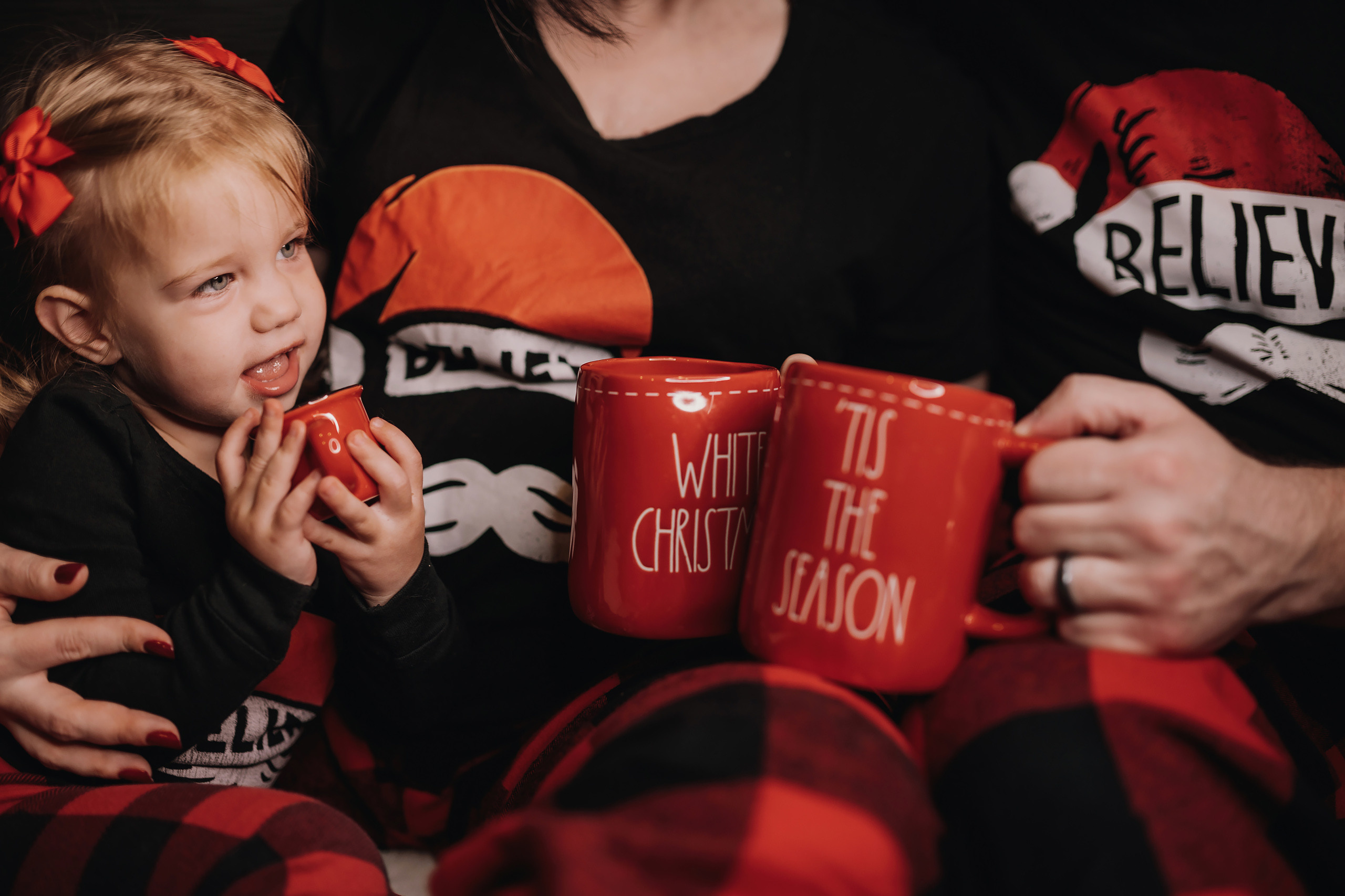 12.09.2022 Christmas Photoshoot 15. Wedding family event photographer in Chicago Nick Yushevich